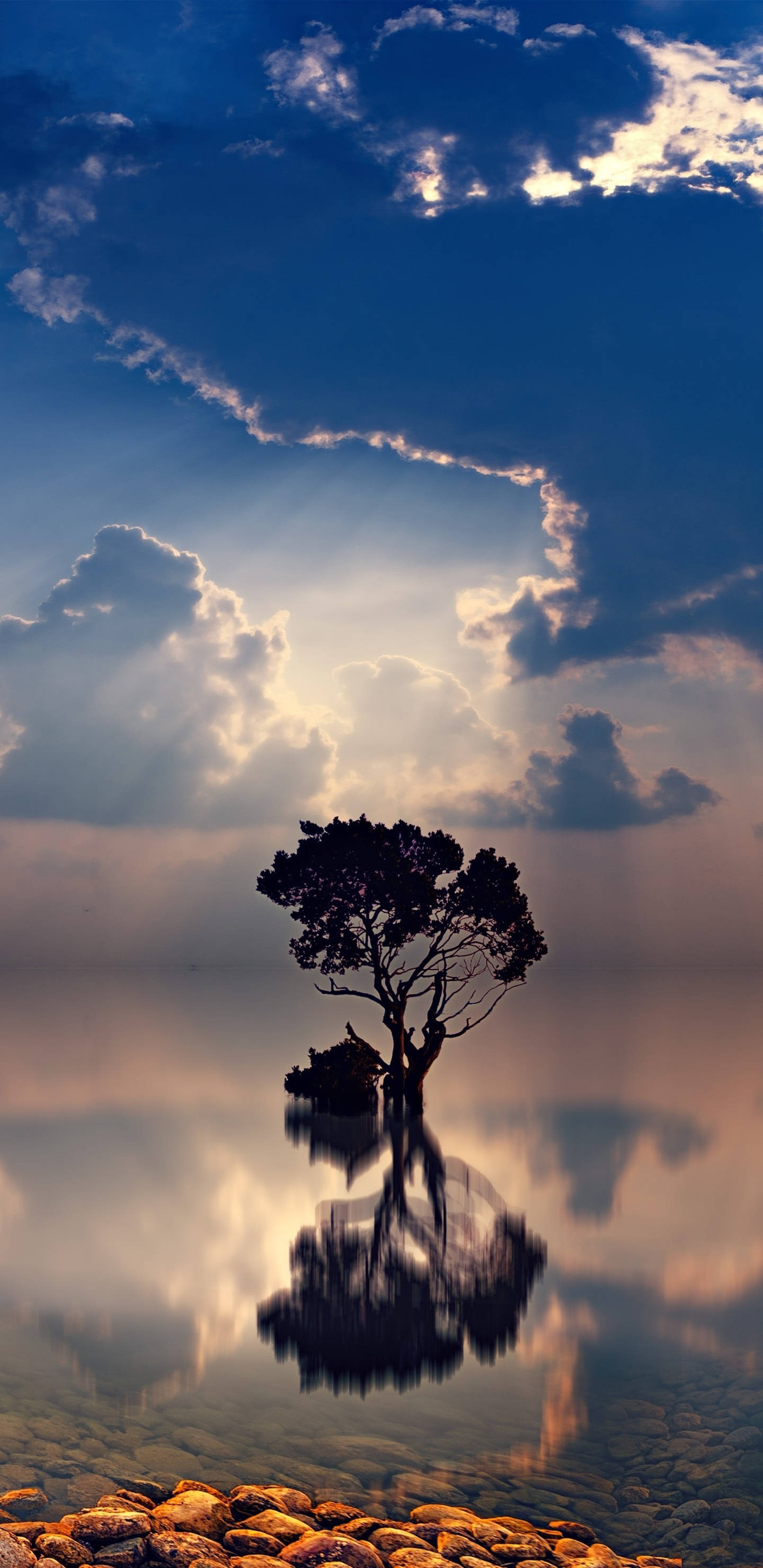 Pixel 3 XL, tree, lake, 2K Phone Wallpaper