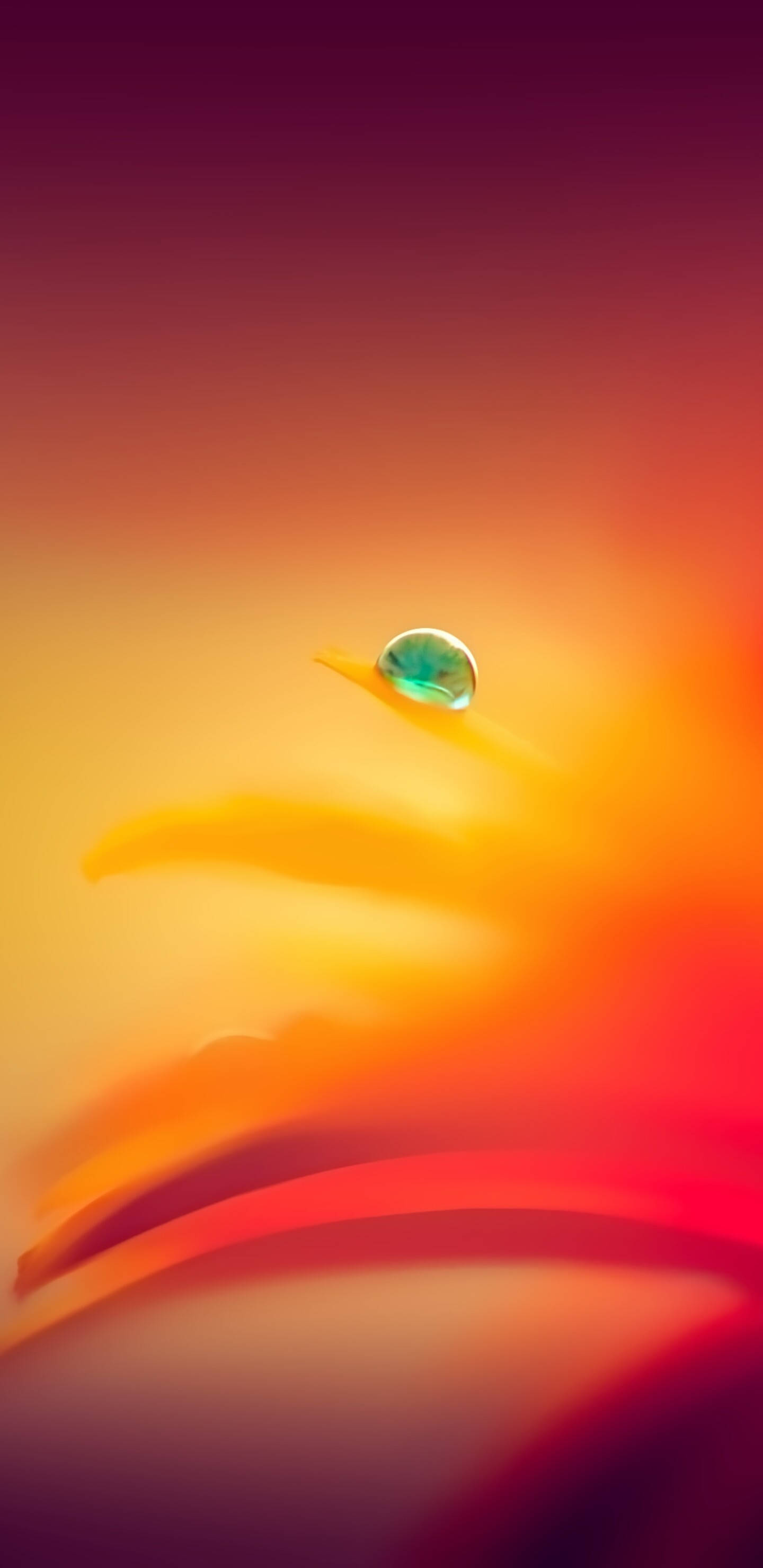 Pixel 3 XL, droplet, gradient orange, 2K Phone Wallpaper