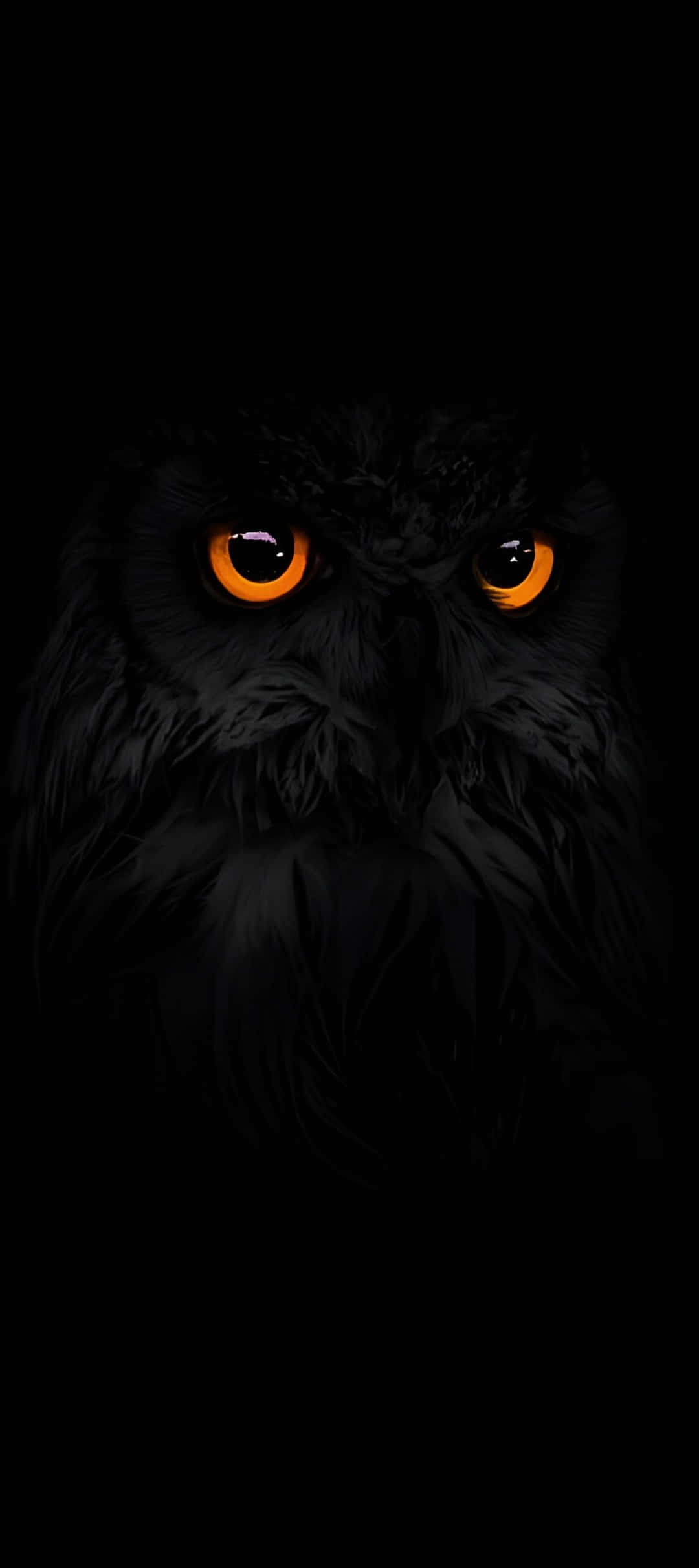 Pixel 9, dark mode, black owl, Full HD Phone Wallpaper