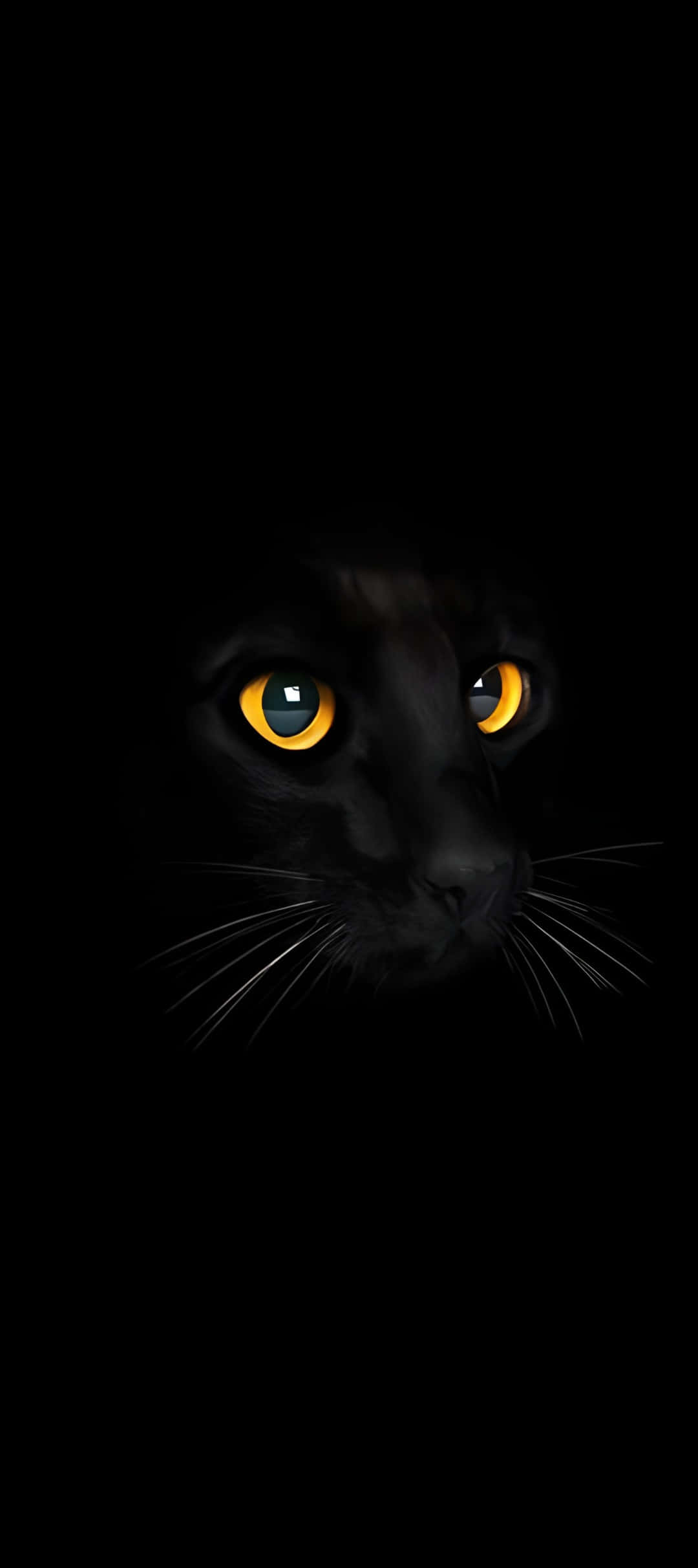Pixel 9, dark mode, black cat, Full HD Phone Wallpaper