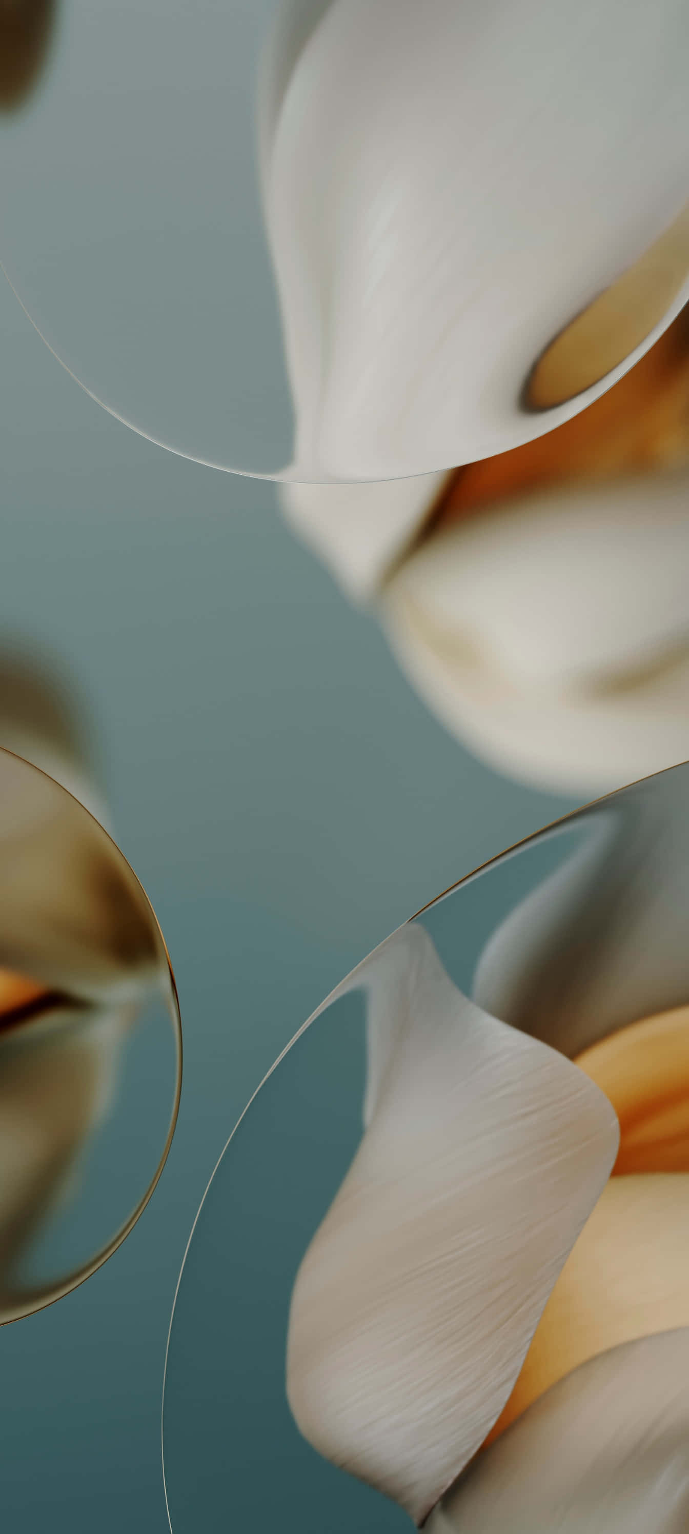 Pixel 9a, creamy white magnolia petals, golden centers, 2K Phone Wallpaper