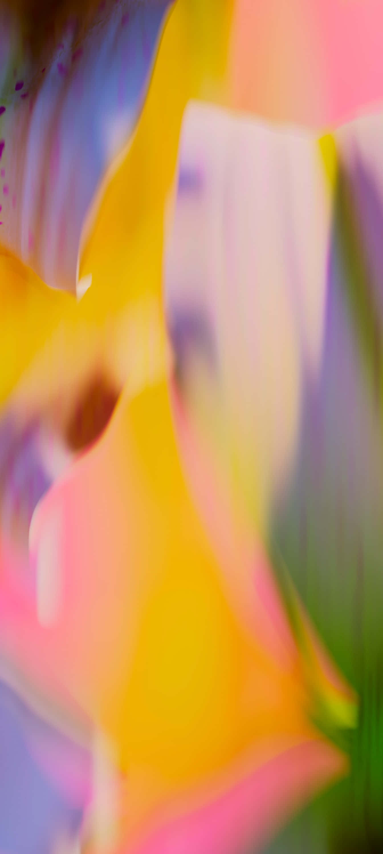 Pixel 9a, vibrant, abstract motion blur, 2K Phone Wallpaper