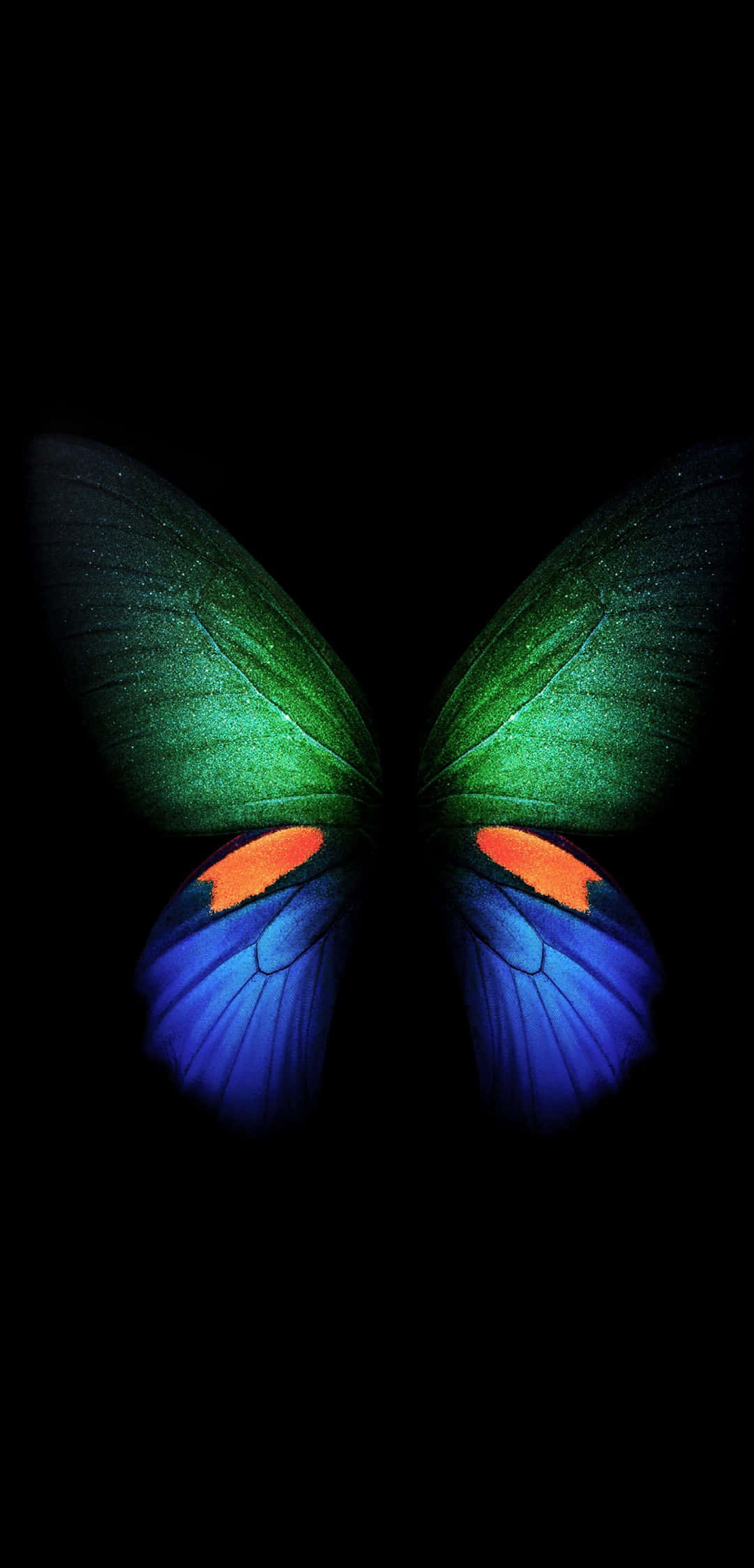 Pixel Fold, butterfly, green upper wings, Full HD Phone Wallpaper