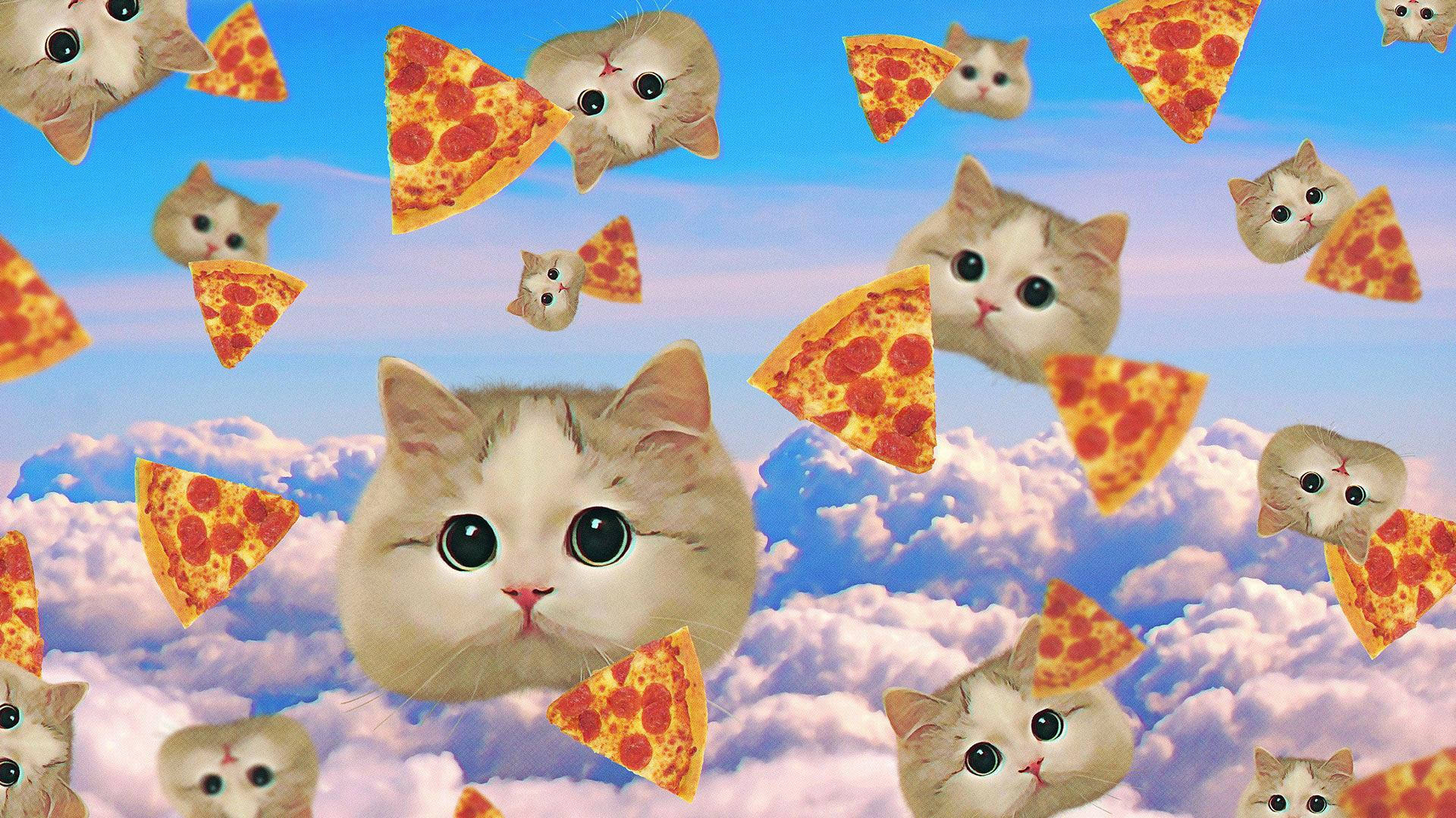 Pizza, Cats, Pepperoni pizza slices, Full HD Desktop Wallpaper