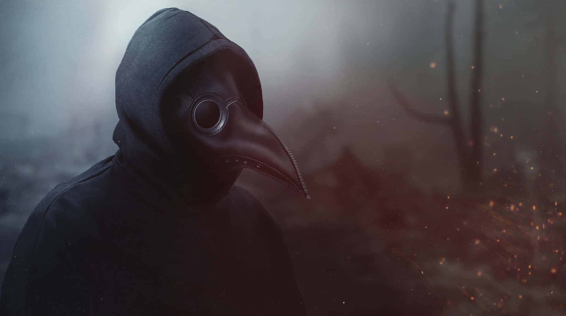 Plague Doctor, misty forest, plague doctor mask, Full HD Desktop Wallpaper