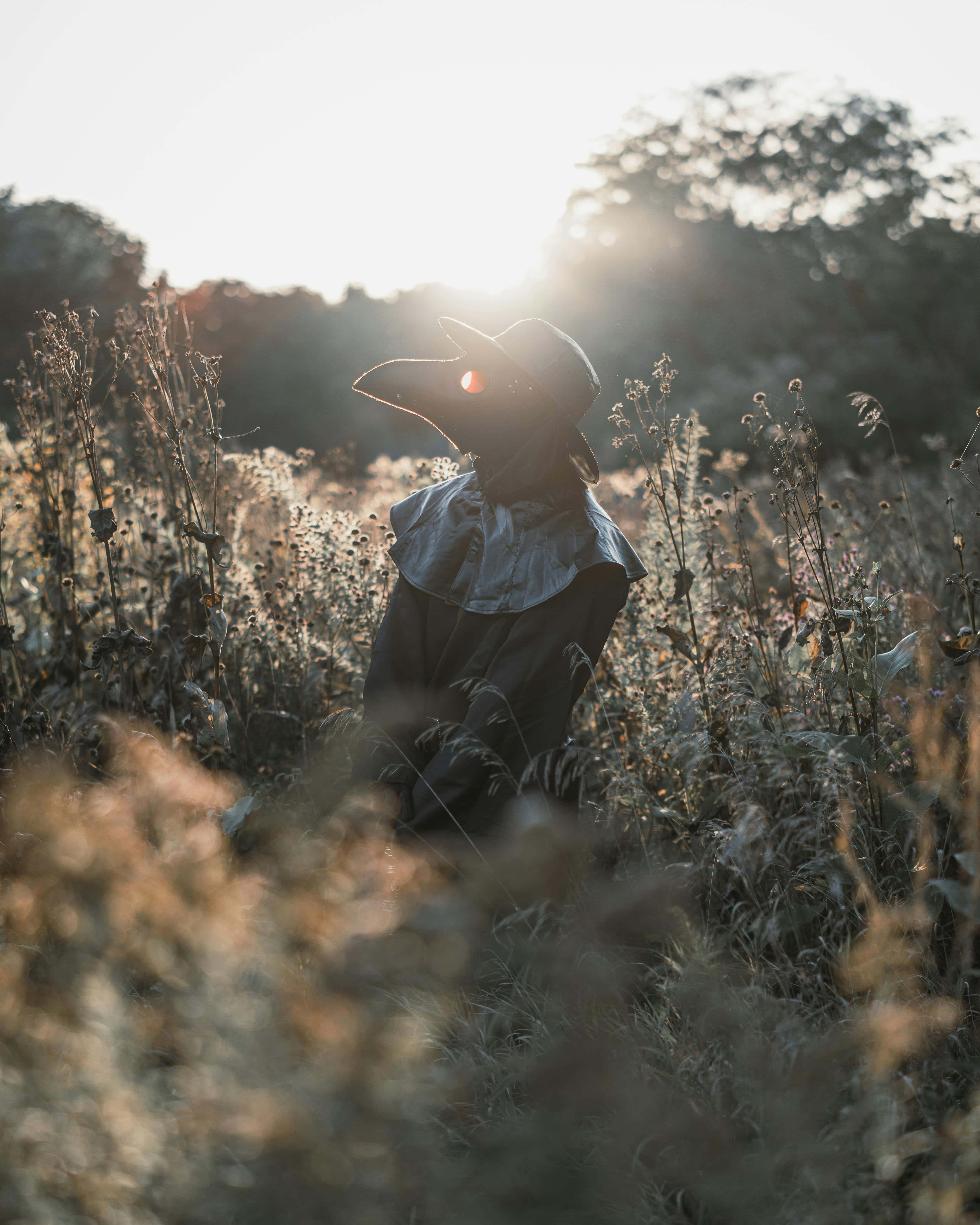 Plague Doctor, sunset field, wide-brimmed hat, 5K Phone Wallpaper