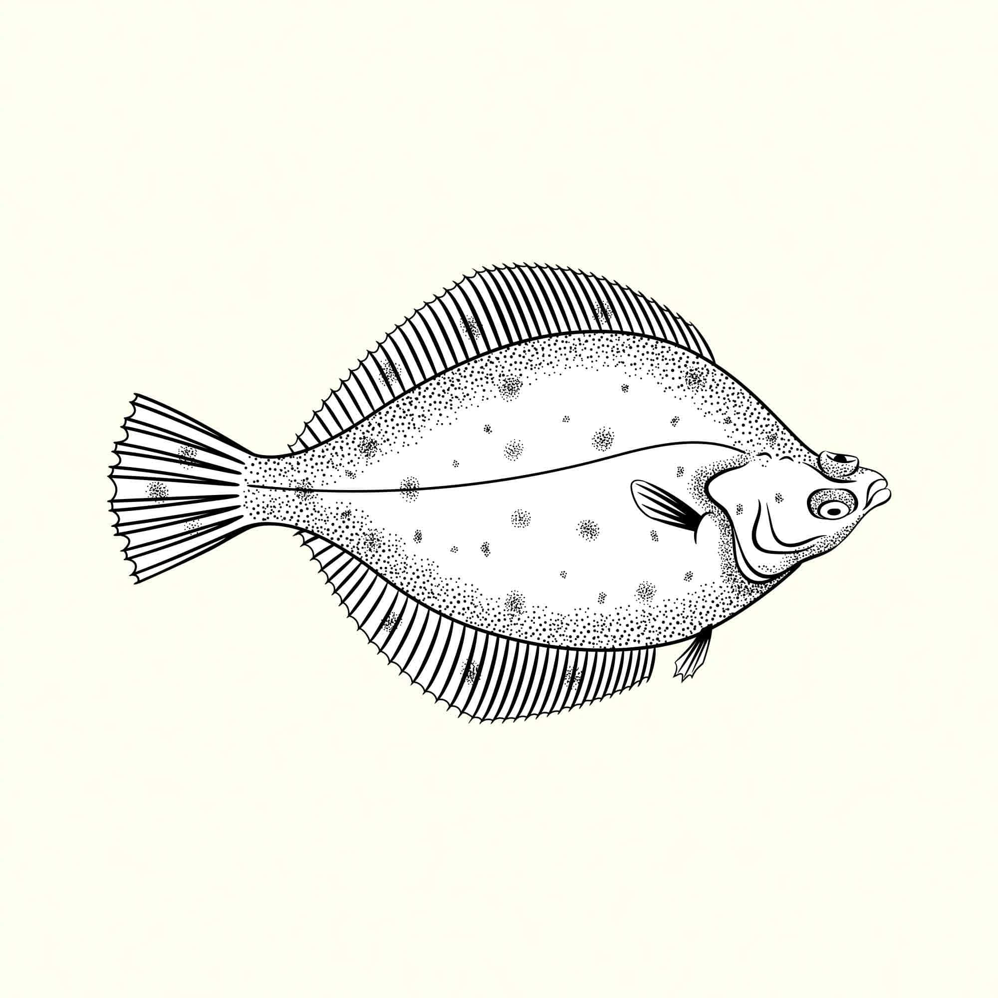 Plaice, black and white stippled illustration, textured scales, Full HD Desktop Wallpaper