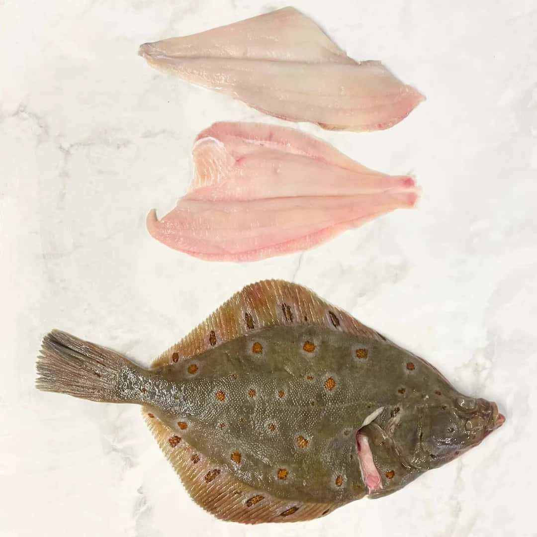 Plaice, marble, whole spotted flounder, SD Desktop Wallpaper