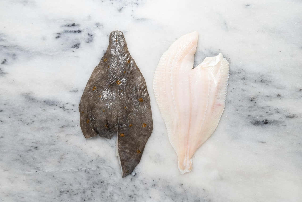 Plaice, marble, dark gray spotted, HD Desktop Wallpaper