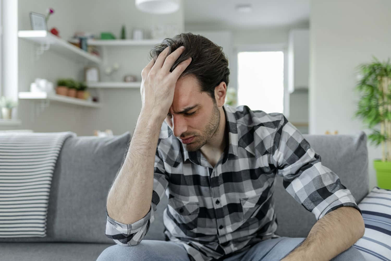 plaid shirt, gray couch, distressed man, HD Desktop Wallpaper