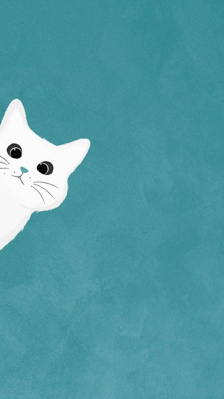 white cat, textured teal background, peeking, HD Phone Wallpaper