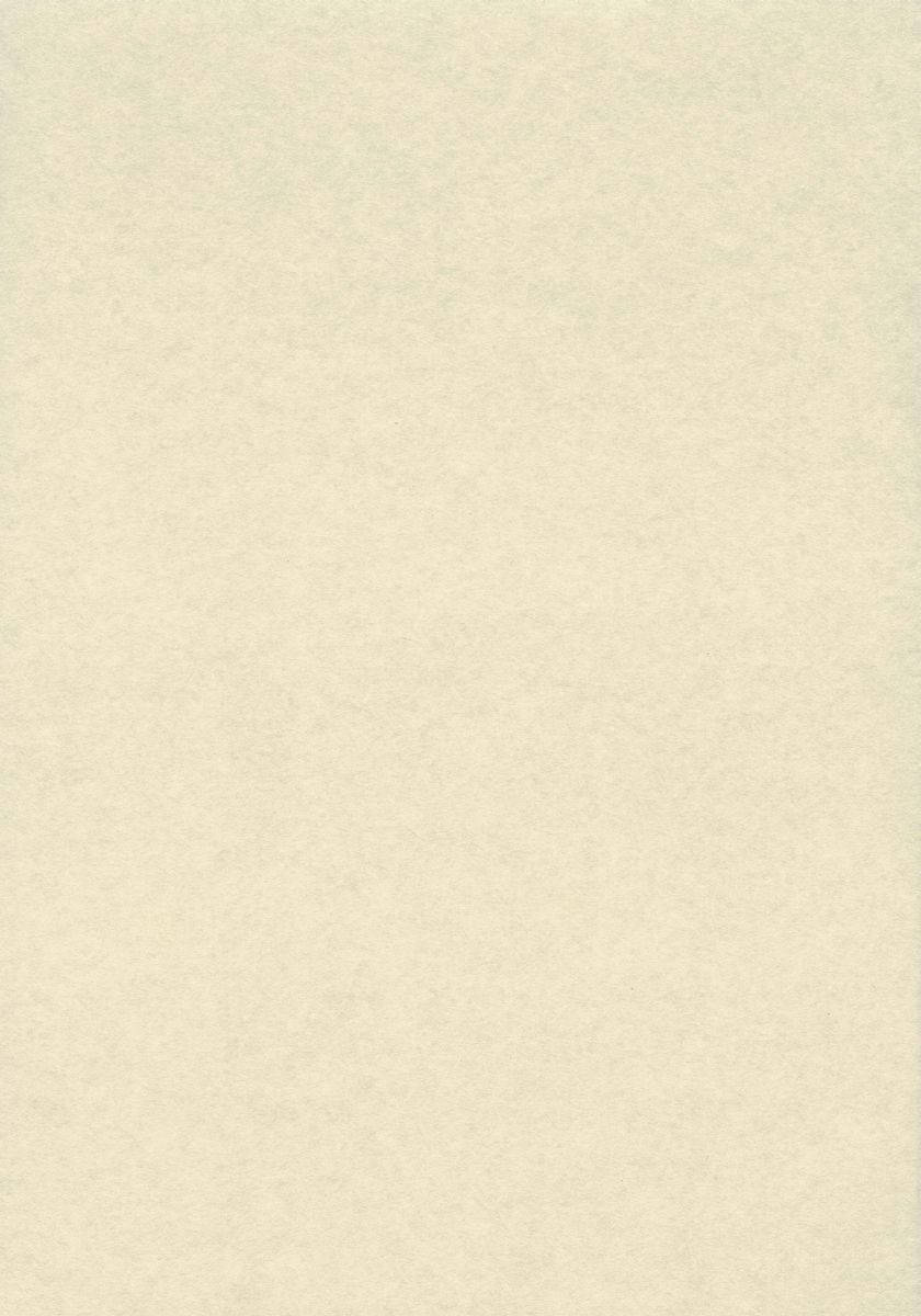 Plain Beige, off-white, textured surface, SD Phone Wallpaper