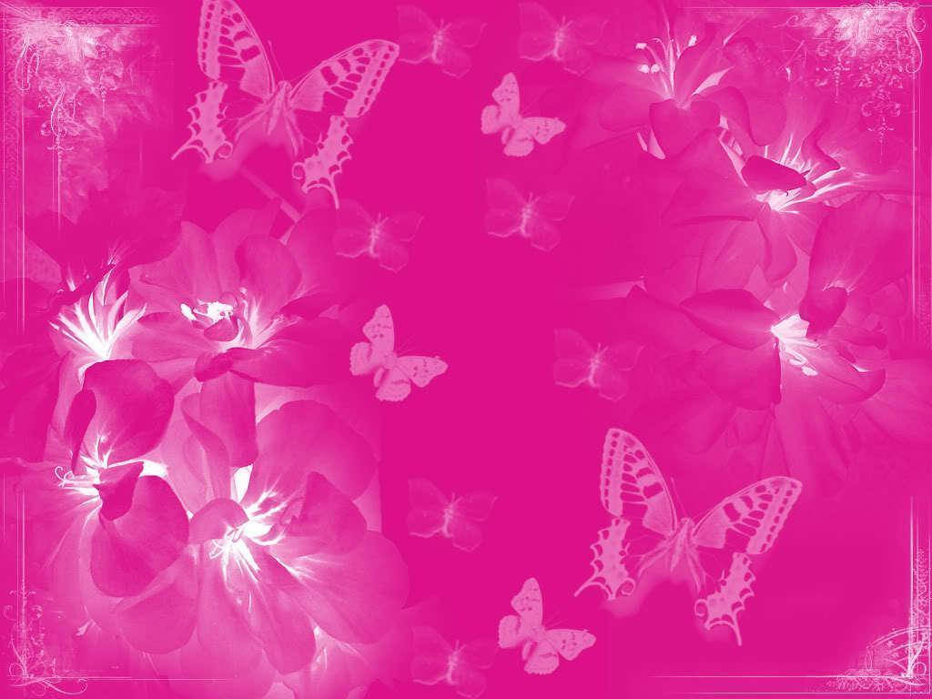 white butterflies, pink plain color, glowing flowers, SD Desktop Wallpaper