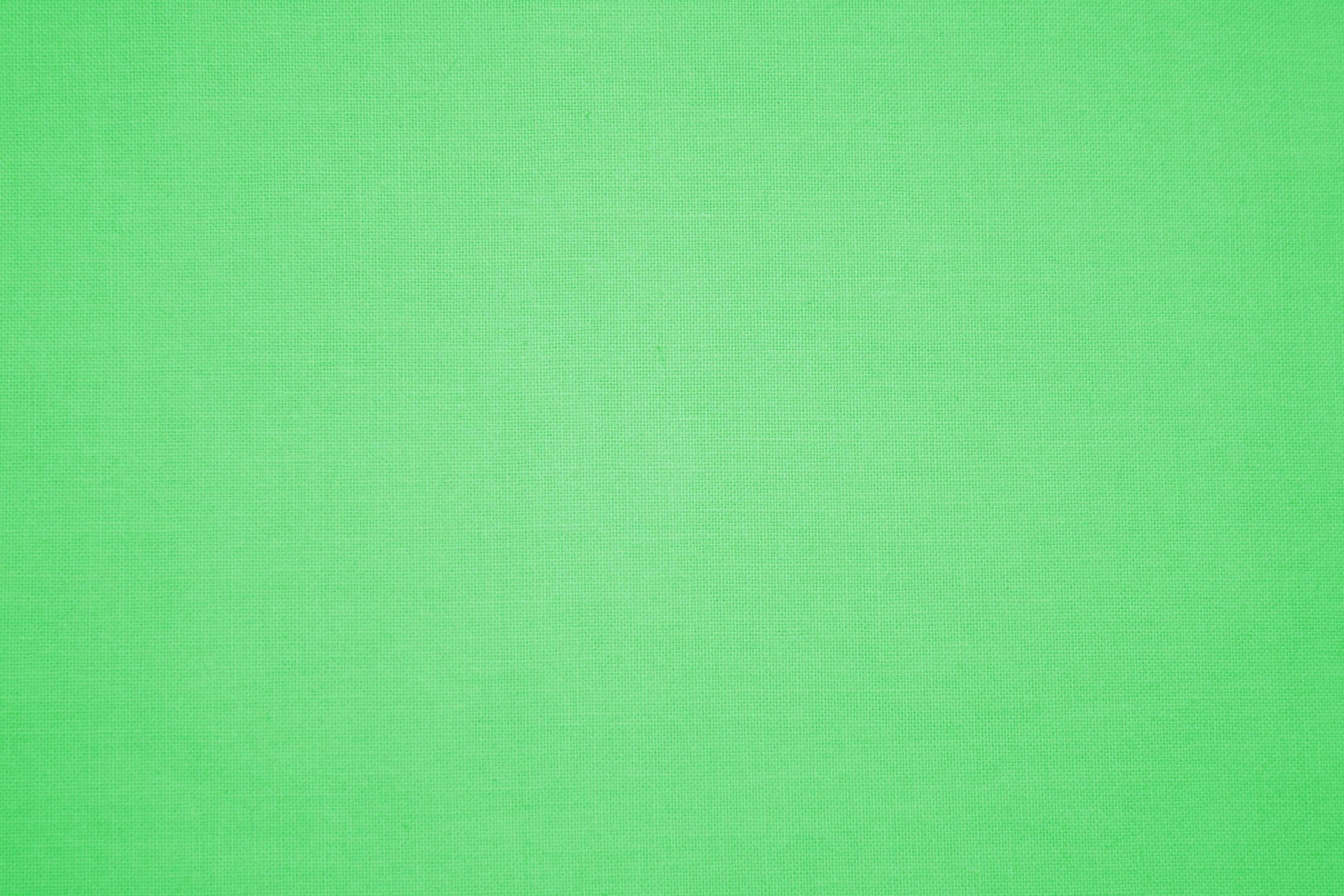 Plain Textured Light Green, smooth, solid green, 2K Desktop Wallpaper