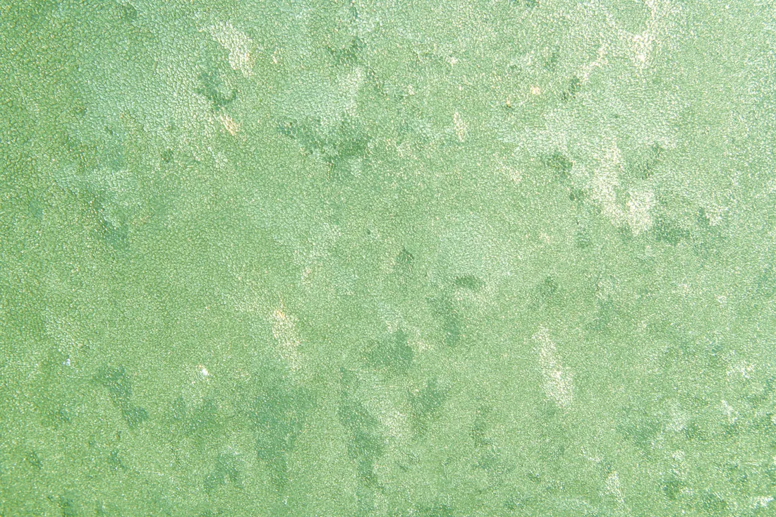 Plain Dark Green