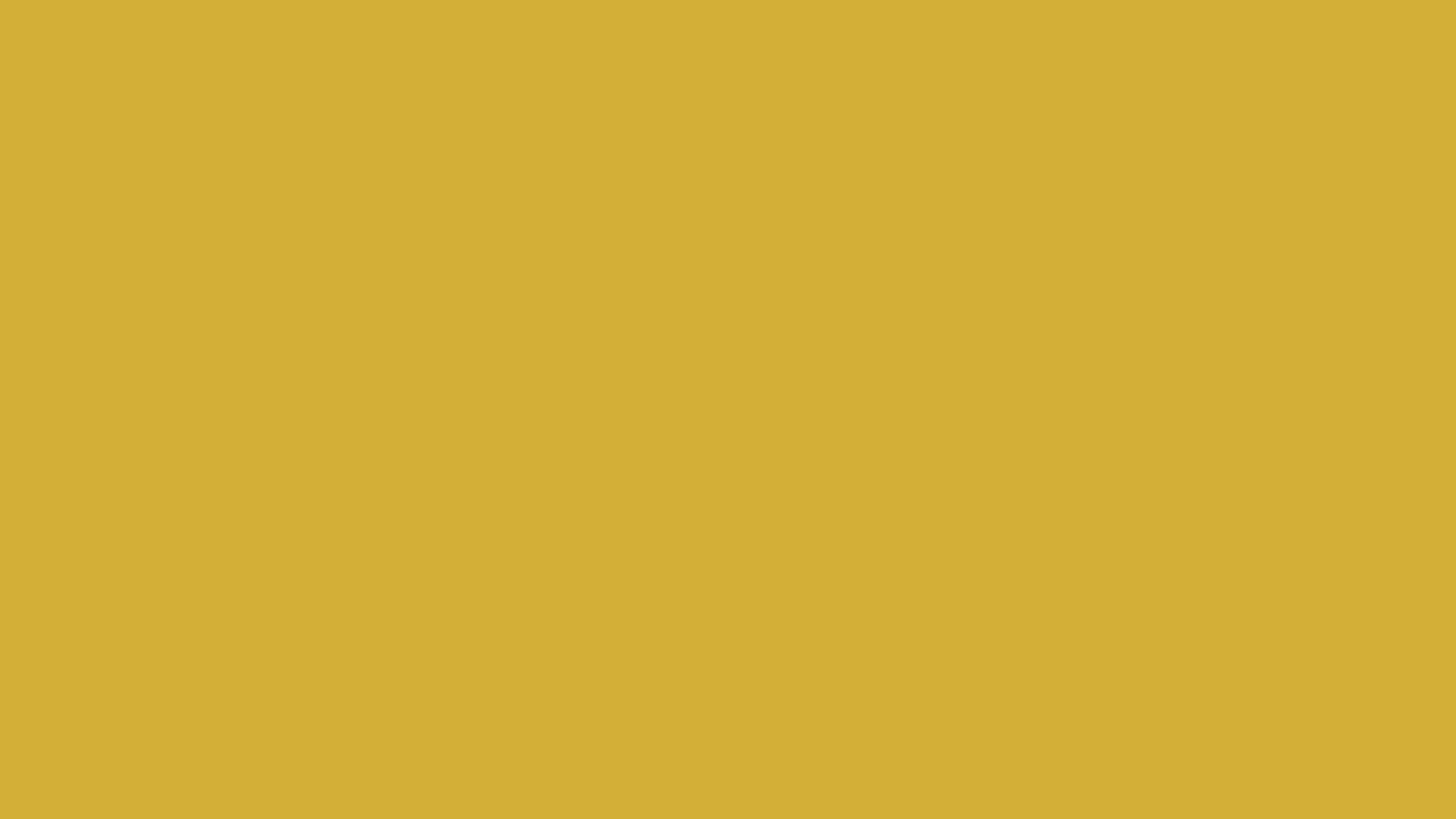 Plain Gold, mustard yellow, solid background, 2K Desktop Wallpaper