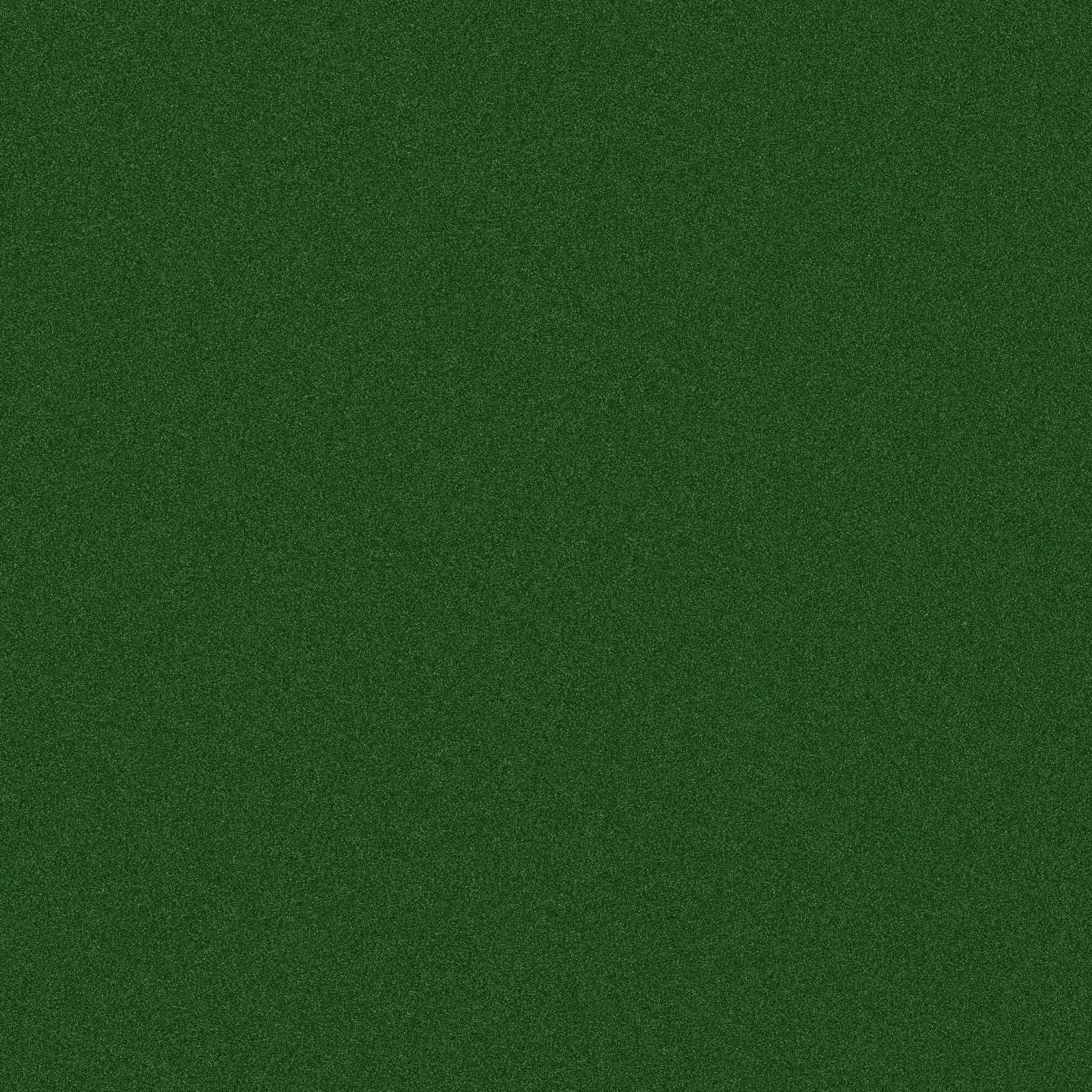 Plain Dark Green, velvety texture, deep green, HD Desktop Wallpaper