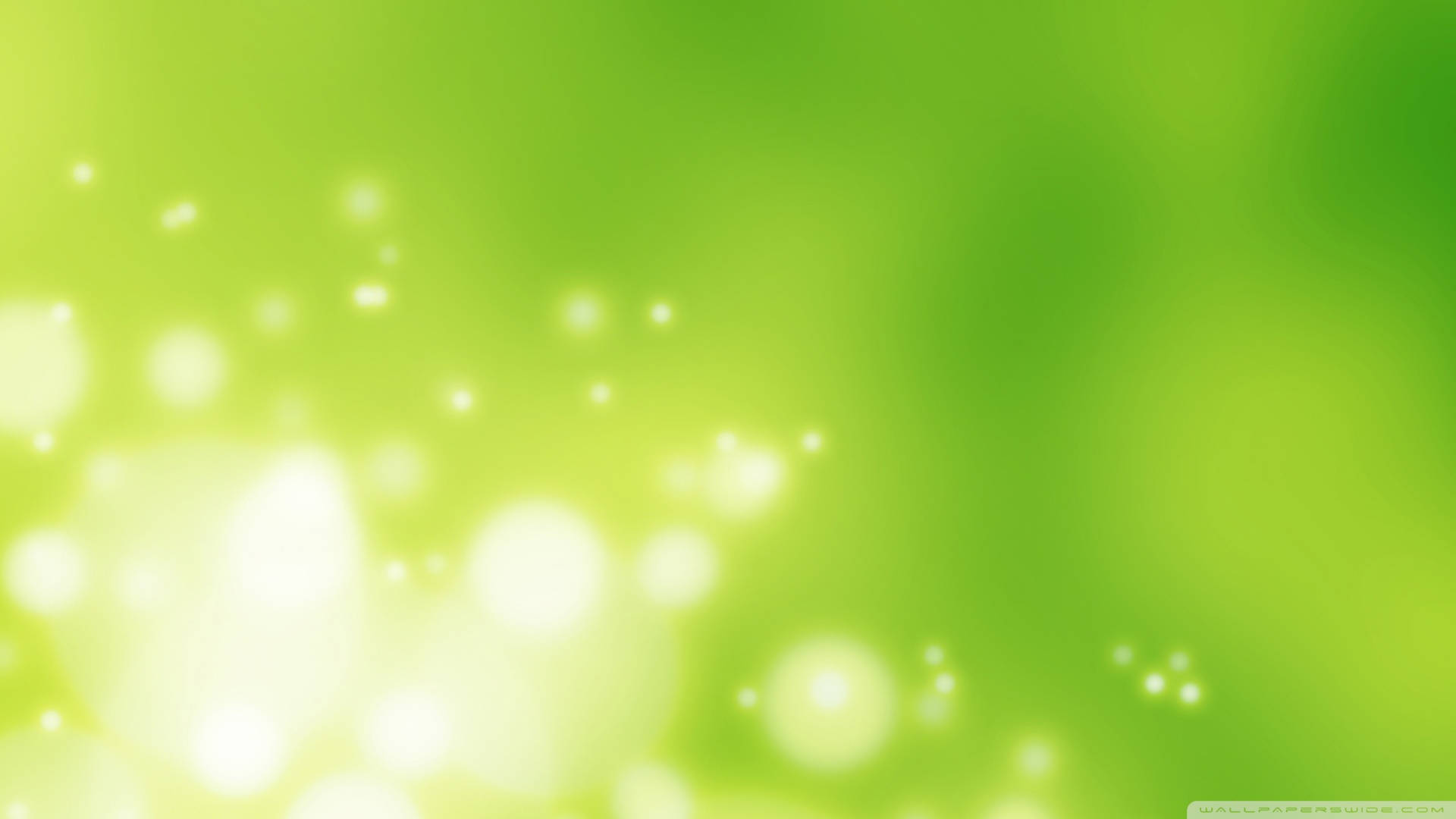 vibrant green, landscape, sunset, Full HD Desktop Wallpaper