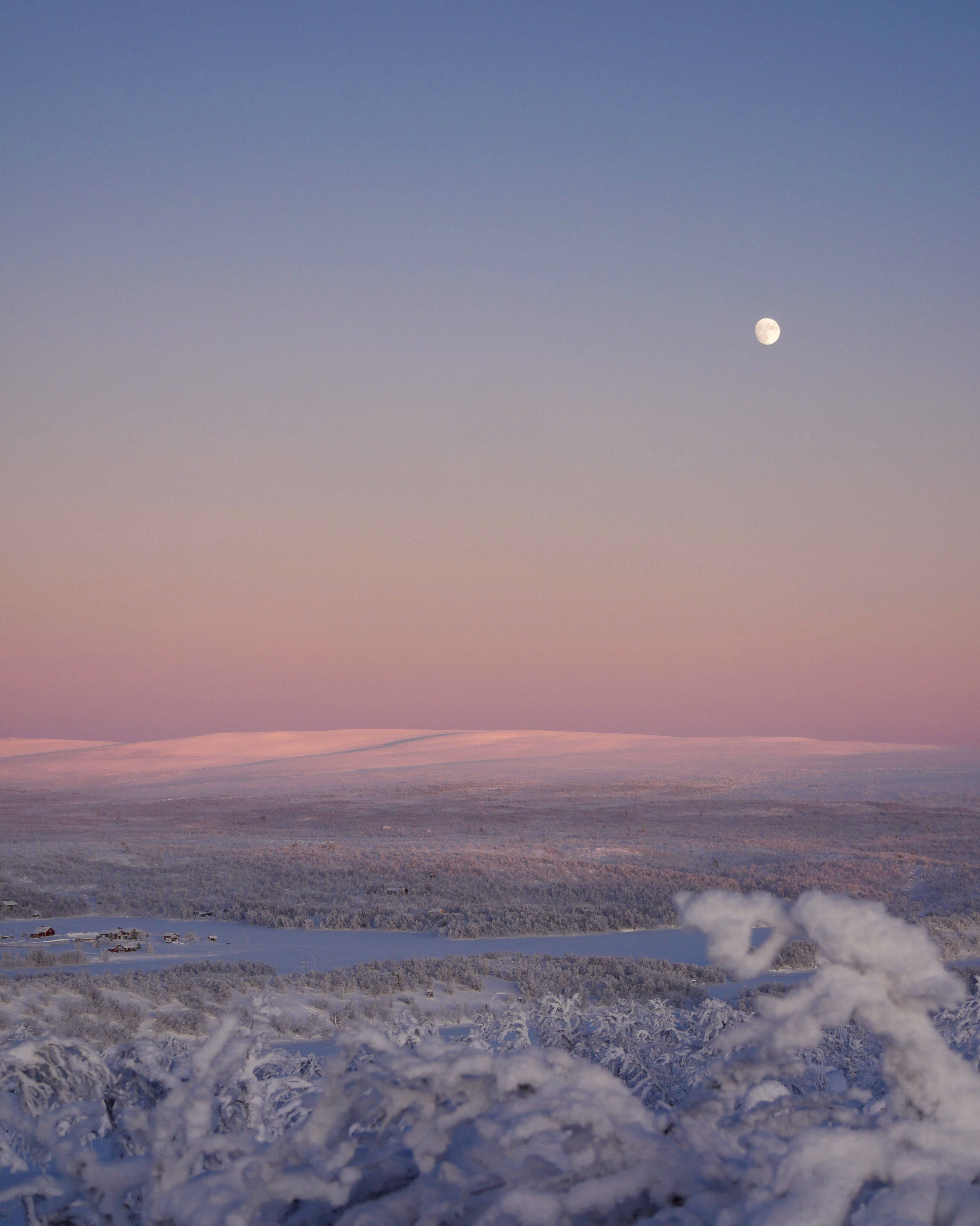 Winter Landscape, snow-covered trees, hills, 4K Phone Wallpaper