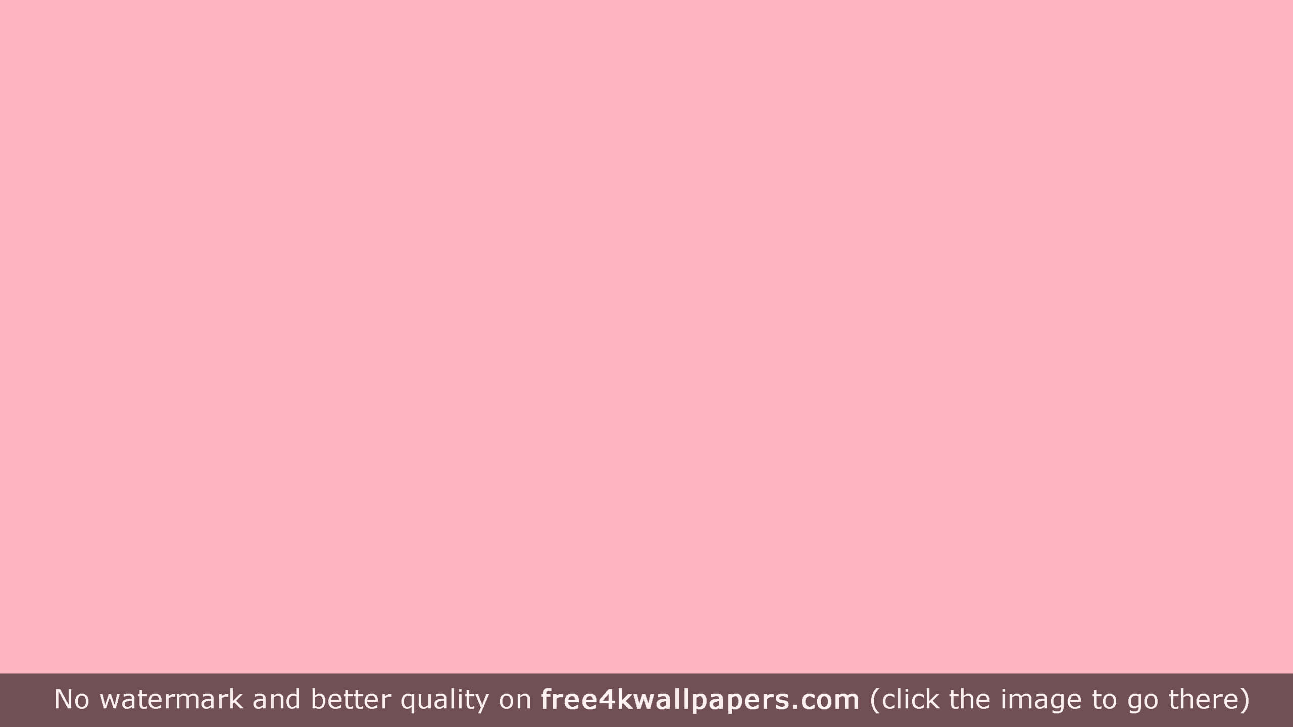 plain pink desktop, 2560 x 1440, pastel pink, 2K Desktop Wallpaper