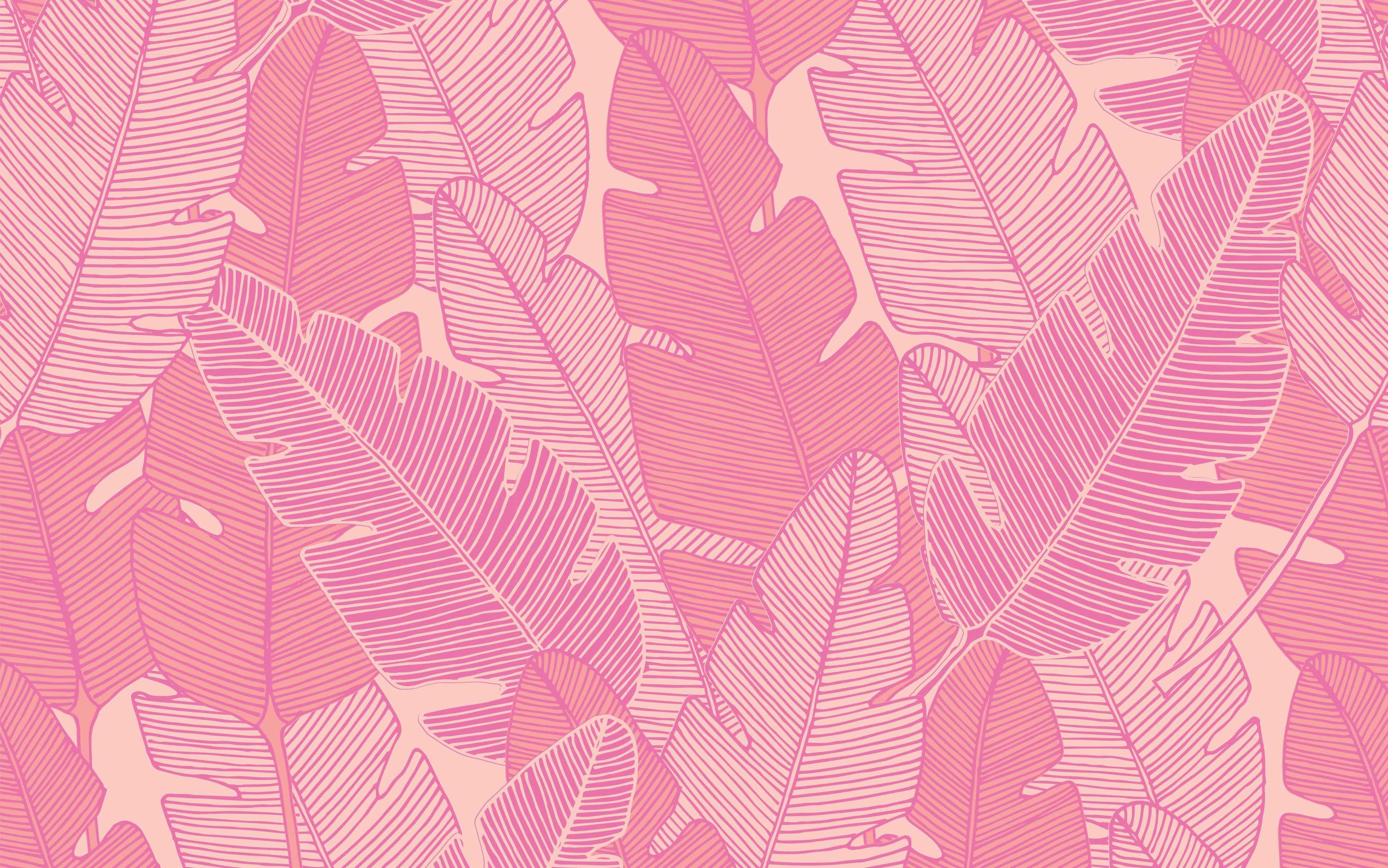 pink laptop, tropical leaf pattern, banana leaves, 4K Desktop Wallpaper