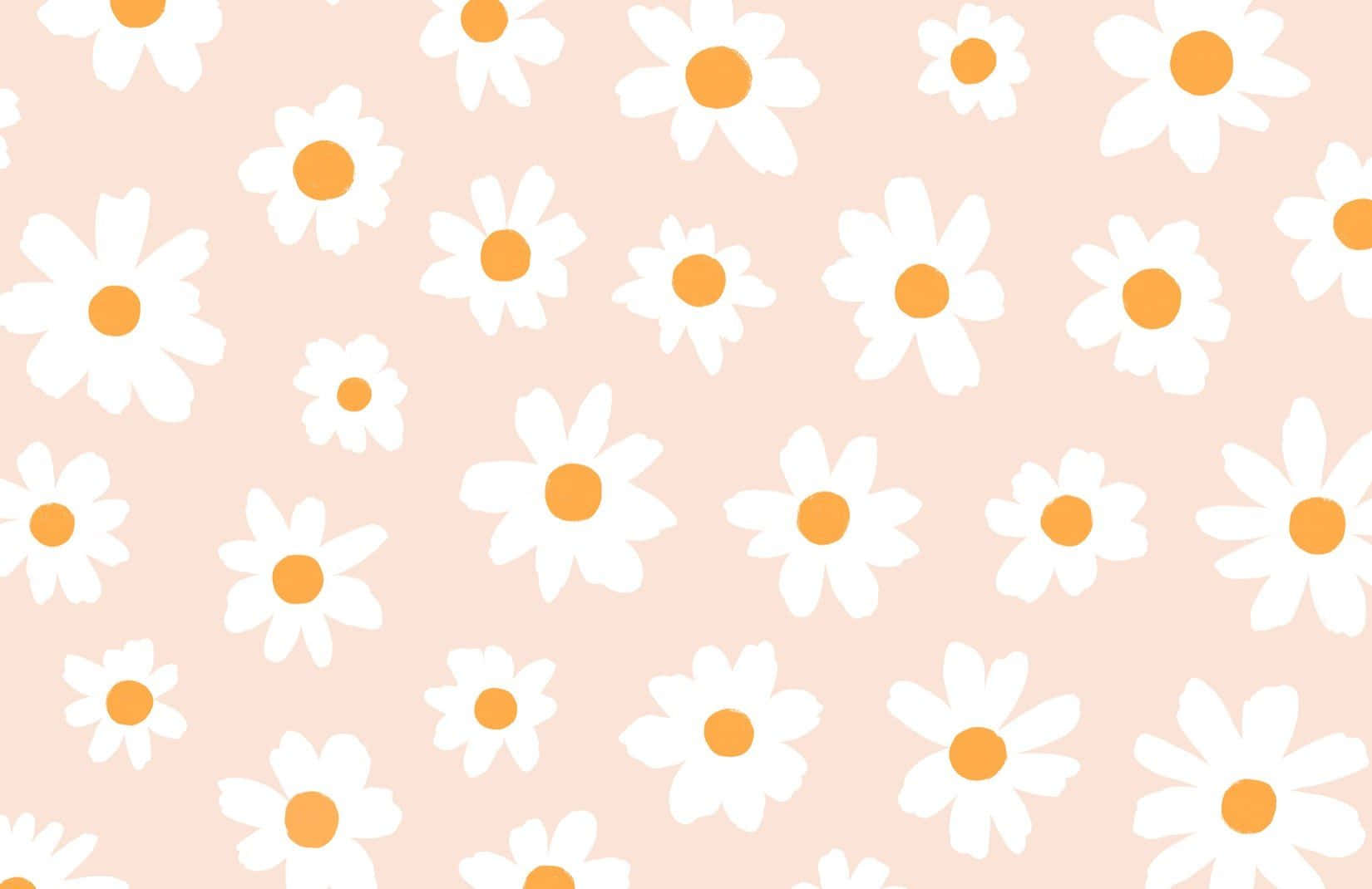 Pink Daisy Aesthetic Computer, soft pink background, scattered white daisies, HD Desktop Wallpaper