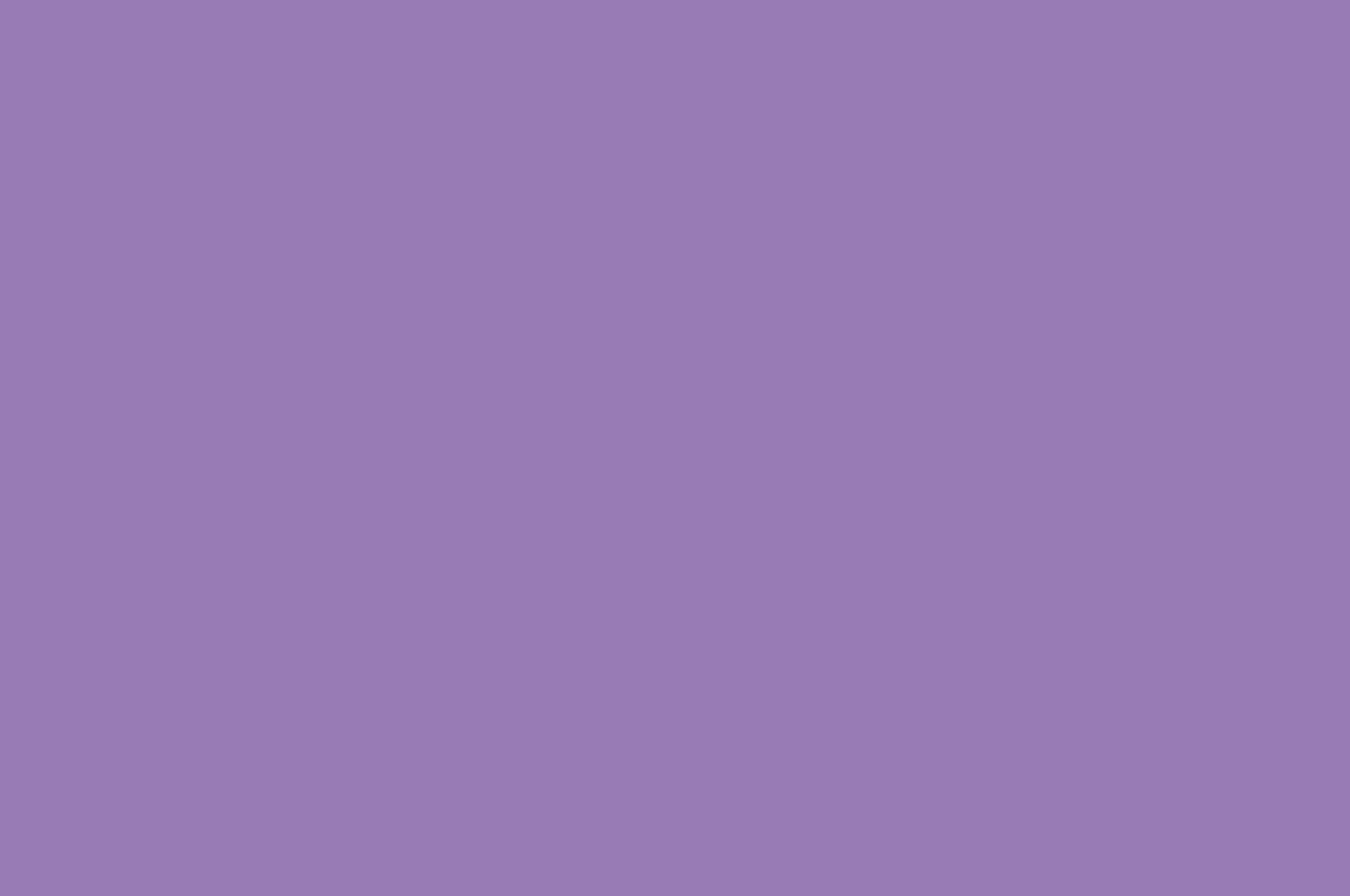 lavender purple, solid lavender background, dark lavender purple, 2K Desktop Wallpaper