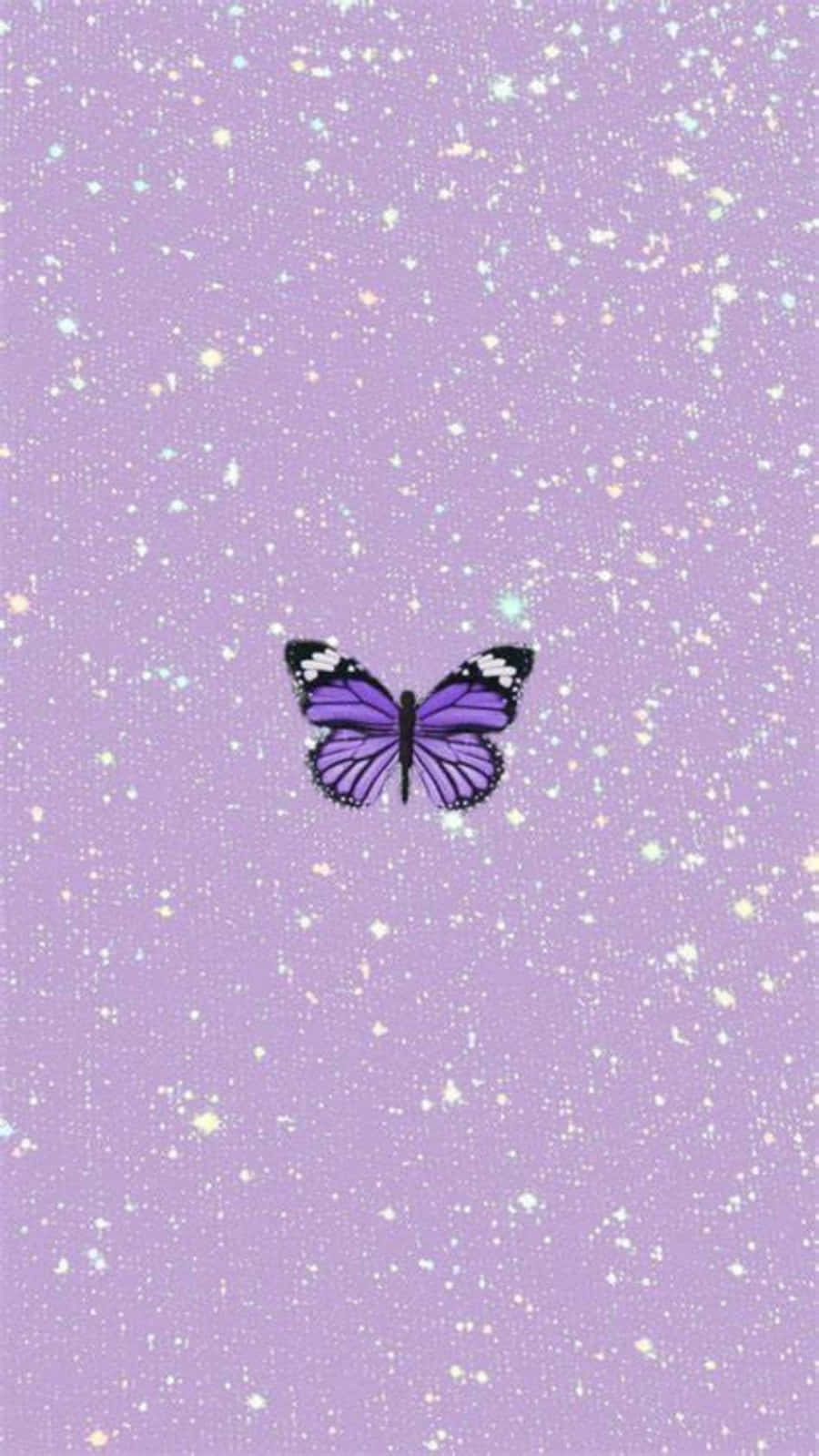 purple butterfly, black and white accents, sparkling lavender background, HD Phone Wallpaper