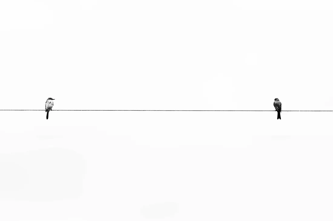 Plain