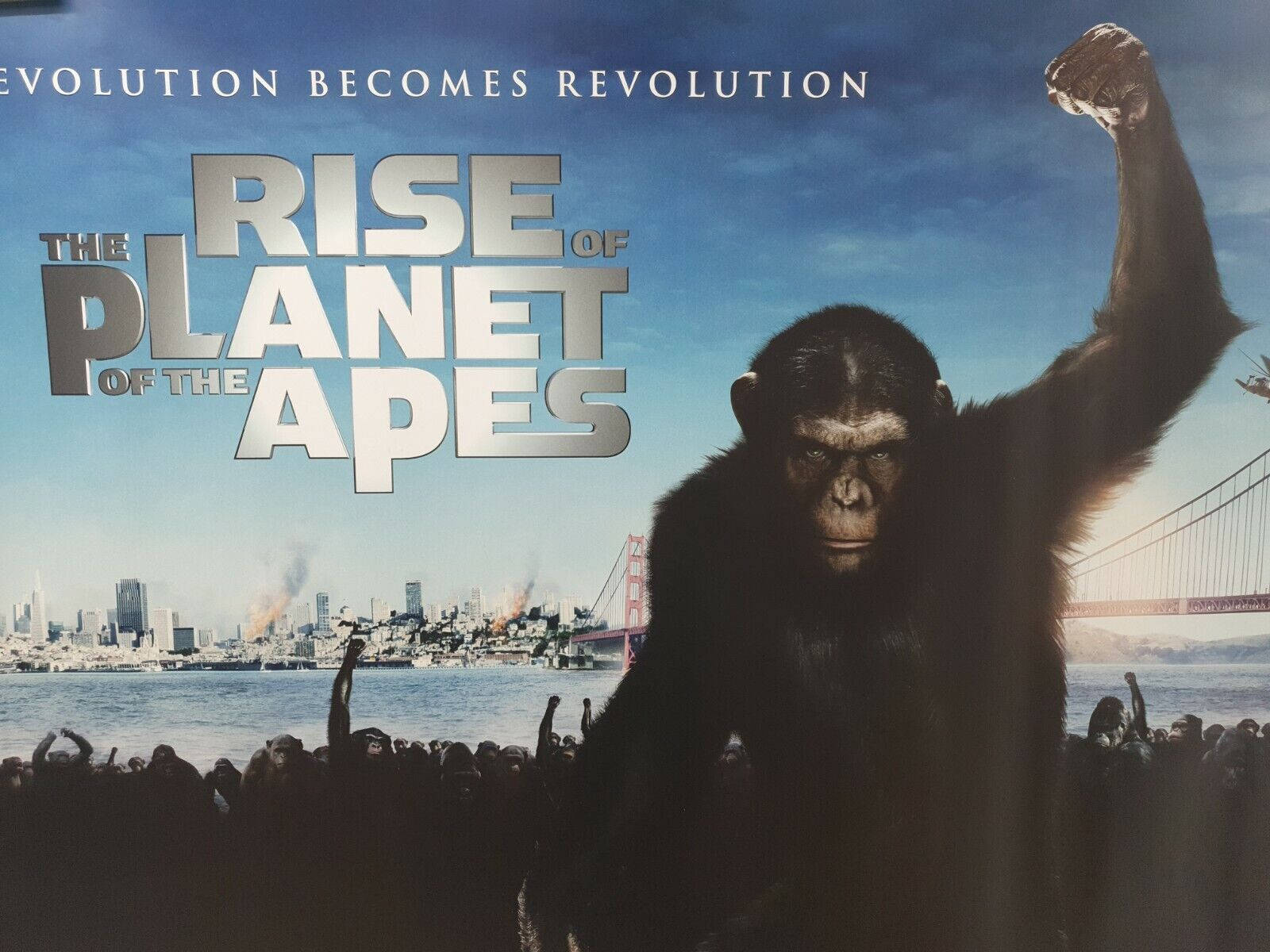 Planet of the Apes, chimpanzee, burning cityscape, HD Desktop Wallpaper