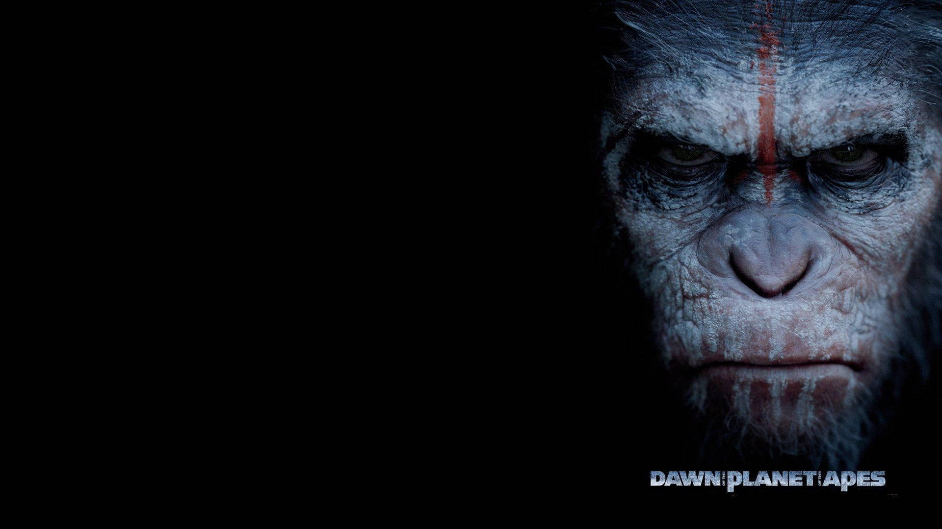 Dawn of the Planet of the Apes, ape, red markings, Full HD Desktop Wallpaper