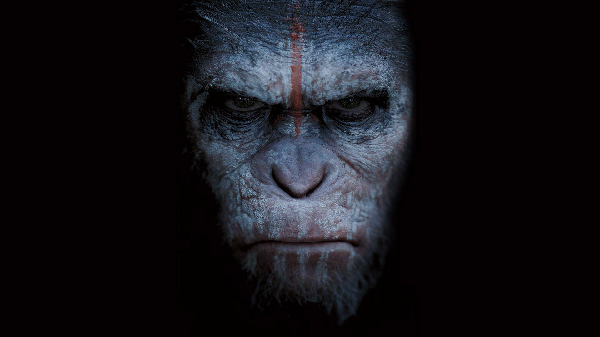 Planet of the Apes, chimpanzee, dramatic lighting, Full HD Desktop Wallpaper
