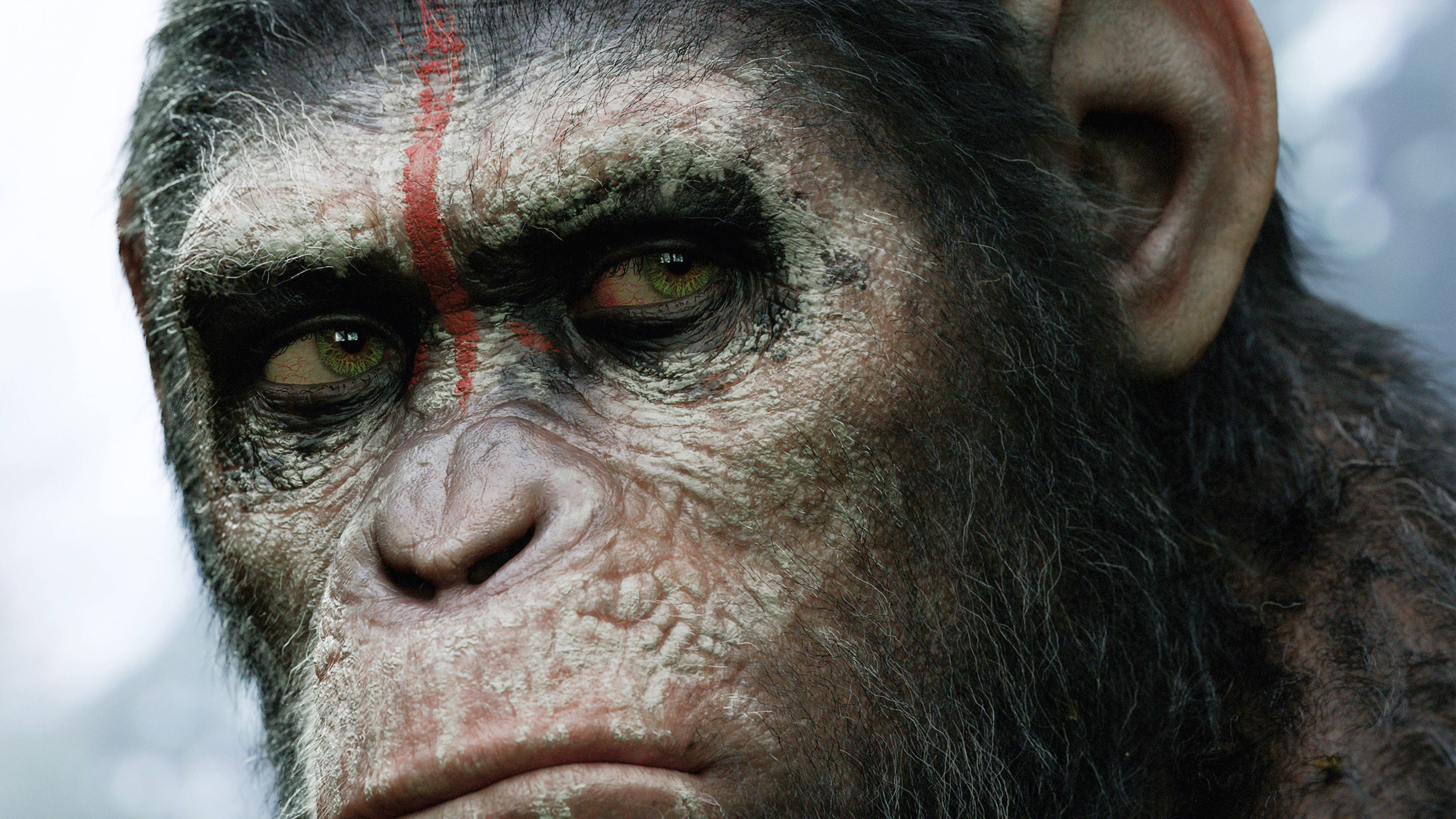 Planet of the Apes, chimpanzee, intense green eyes, 4K Desktop Wallpaper