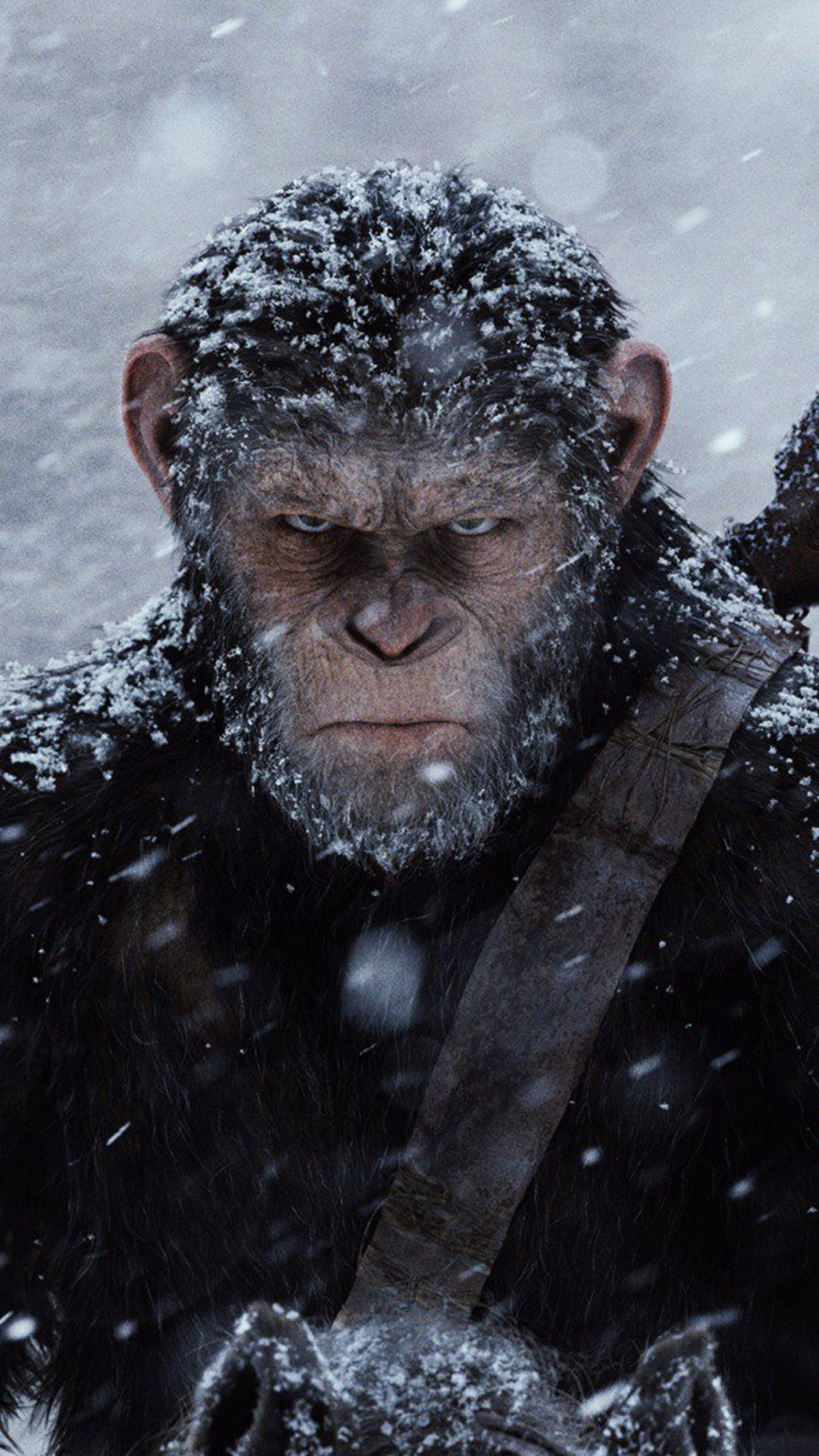 Planet of the Apes, ape, snow-covered, 2K Phone Wallpaper