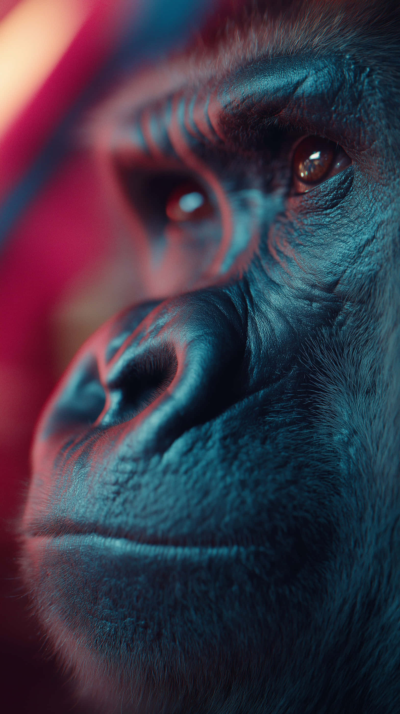 neon primate, gorilla, blue neon lighting, 2K Phone Wallpaper