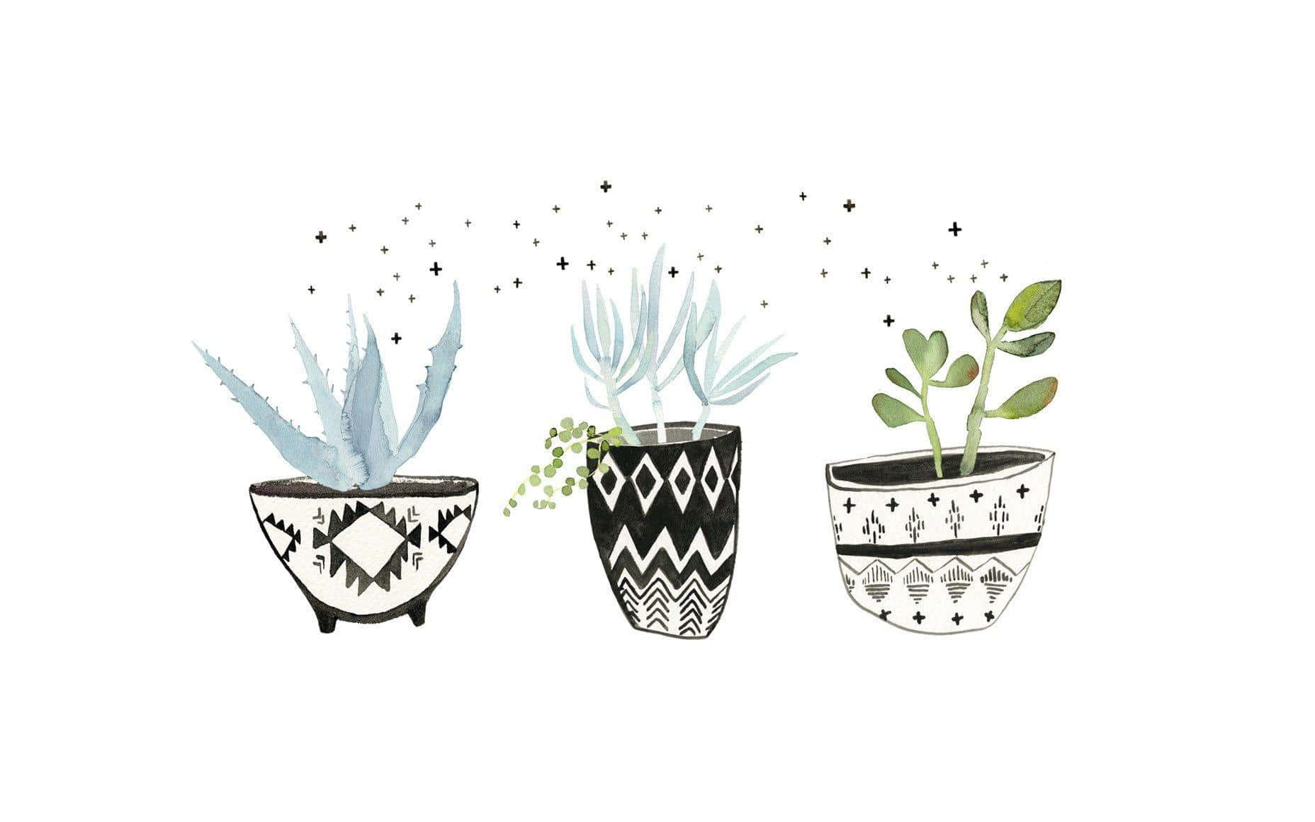 Lush Greenery, desktop, three illustrated potted succulents, HD Desktop Wallpaper