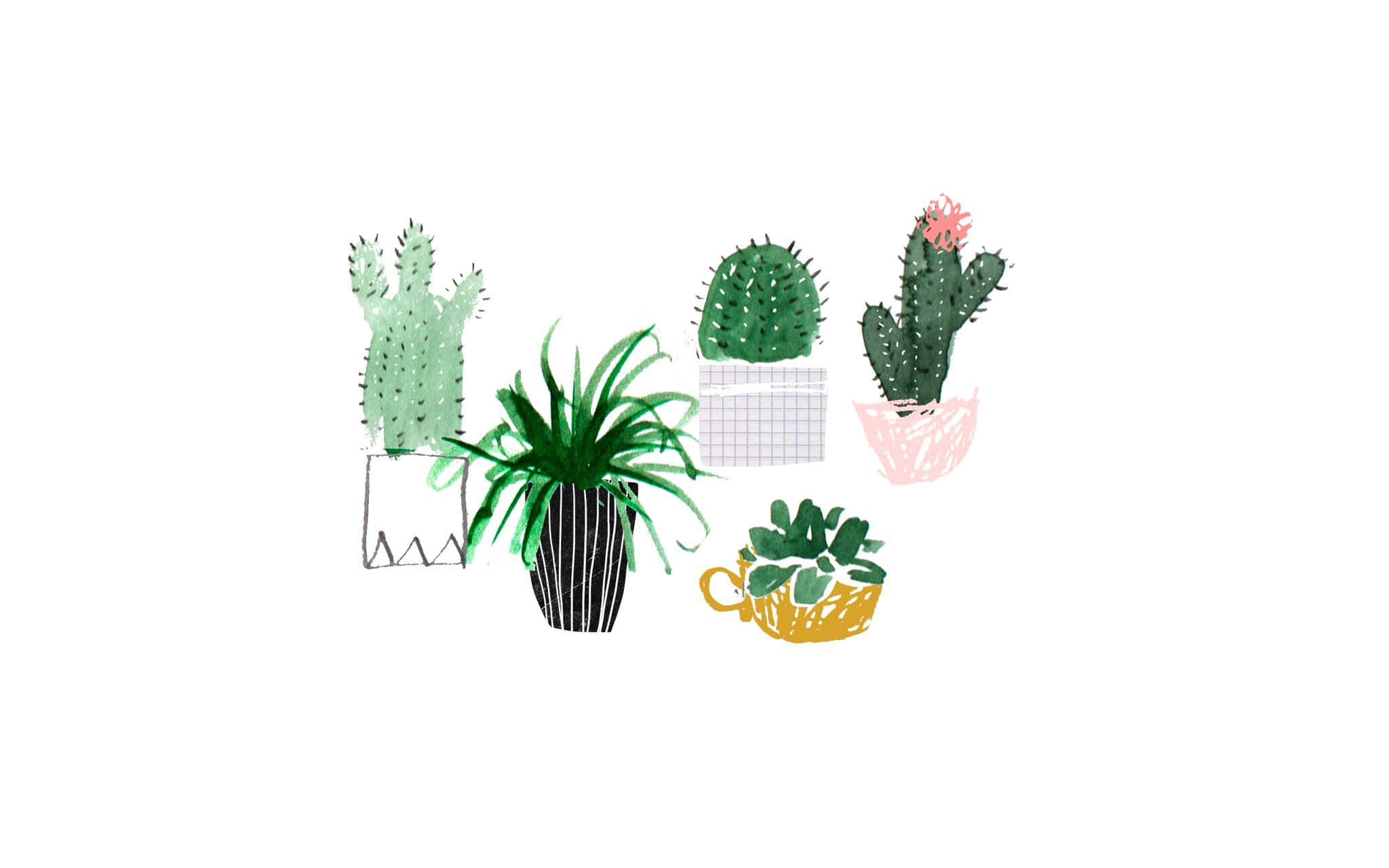 plant aesthetic desktop, hand-drawn watercolor illustration, five potted plants, Full HD Desktop Wallpaper