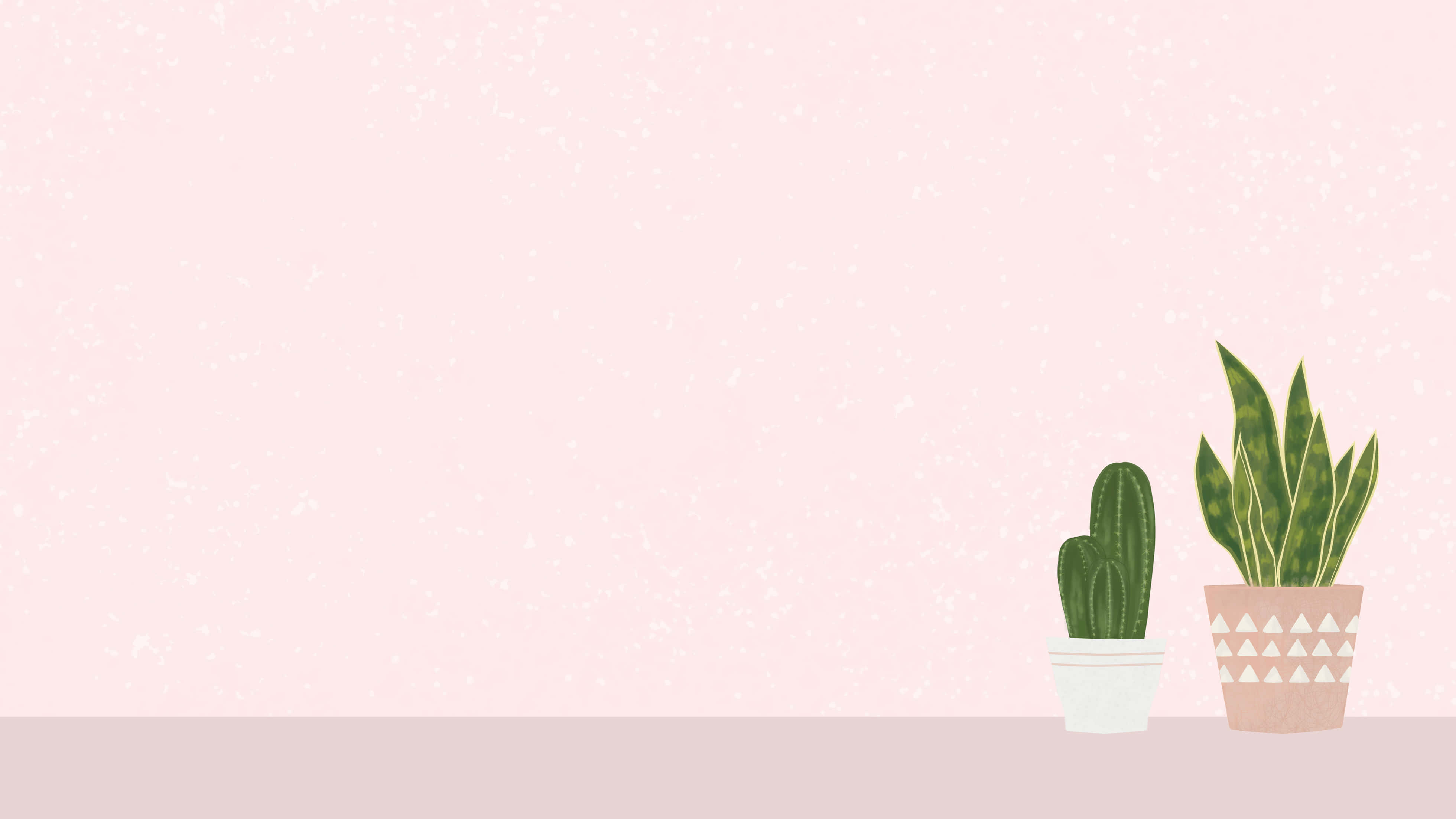 minimalist plant desktop, cactus, snake plant, 4K Desktop Wallpaper