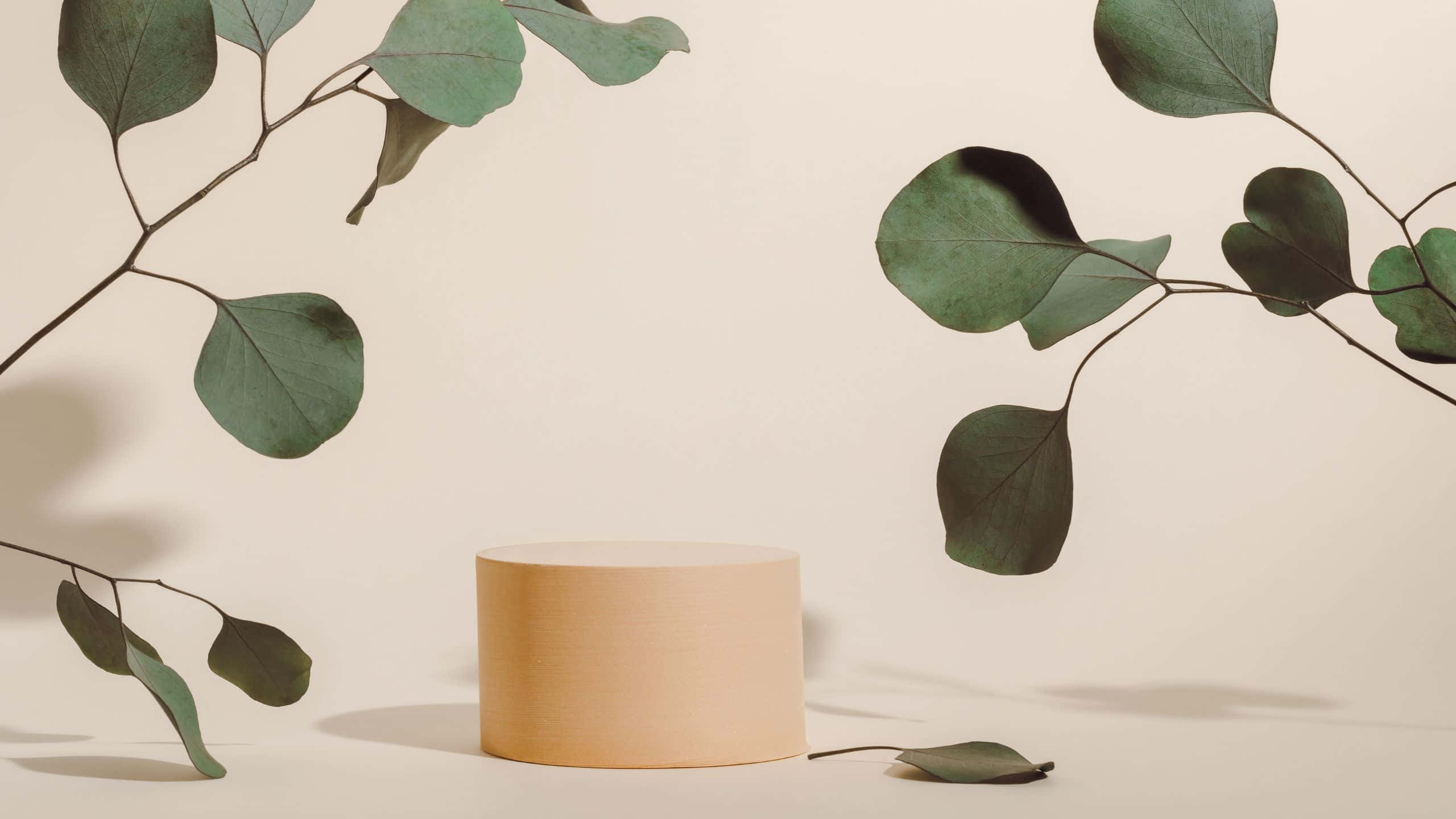 eucalyptus leaves, beige cylindrical pedestal, soft cream wall, 2K Desktop Wallpaper