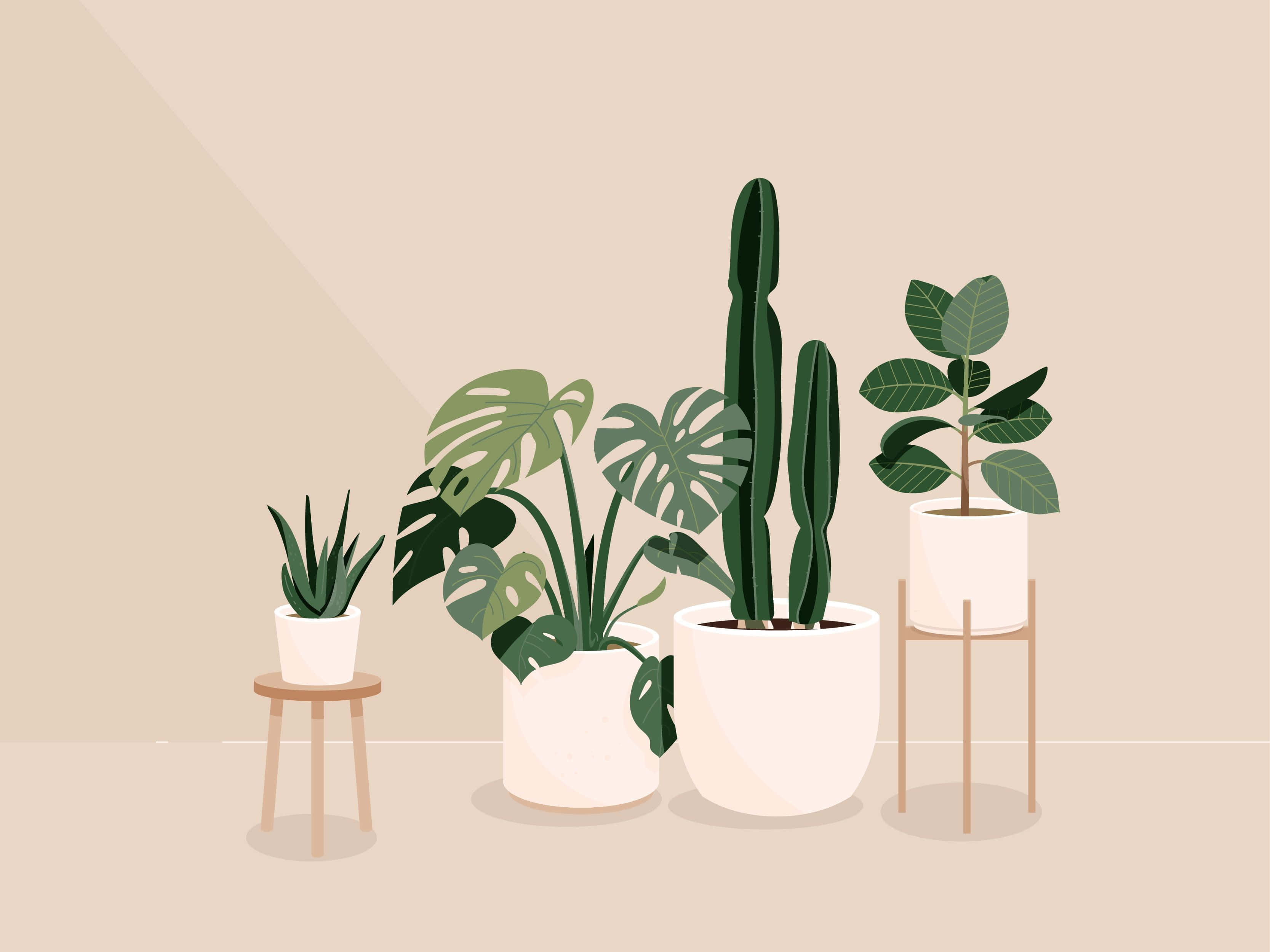 plant aesthetic desktop, minimalist illustration, potted plants, 2K Desktop Wallpaper