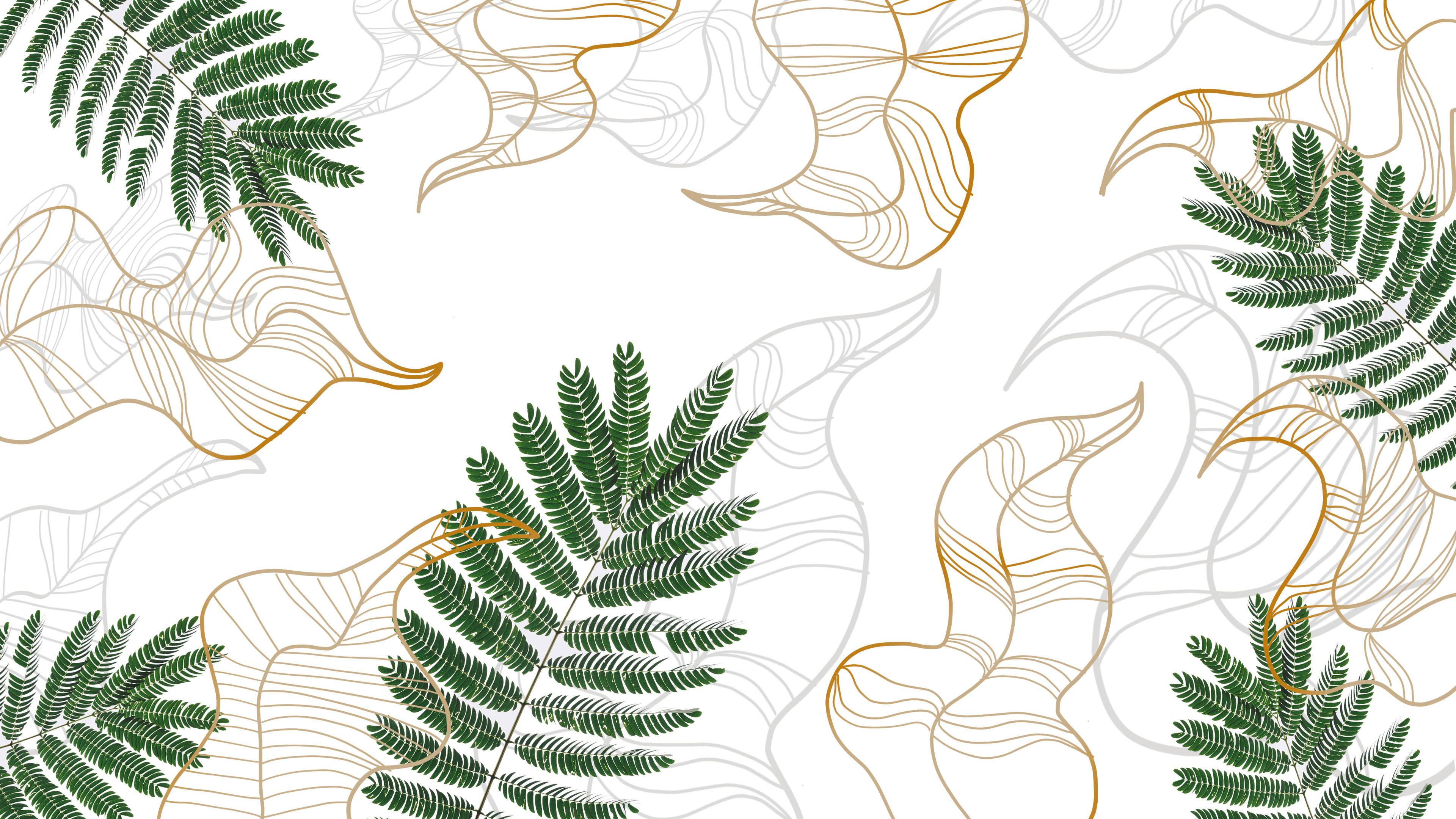 fern leaves, rich green, delicate gold, 4K Desktop Wallpaper