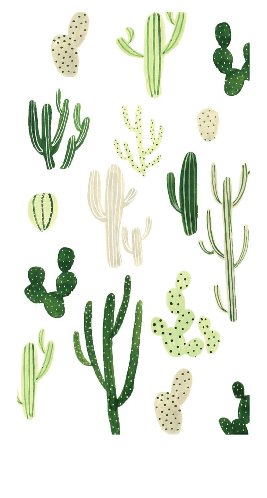 plant aesthetic phone, cacti, greens, HD Phone Wallpaper
