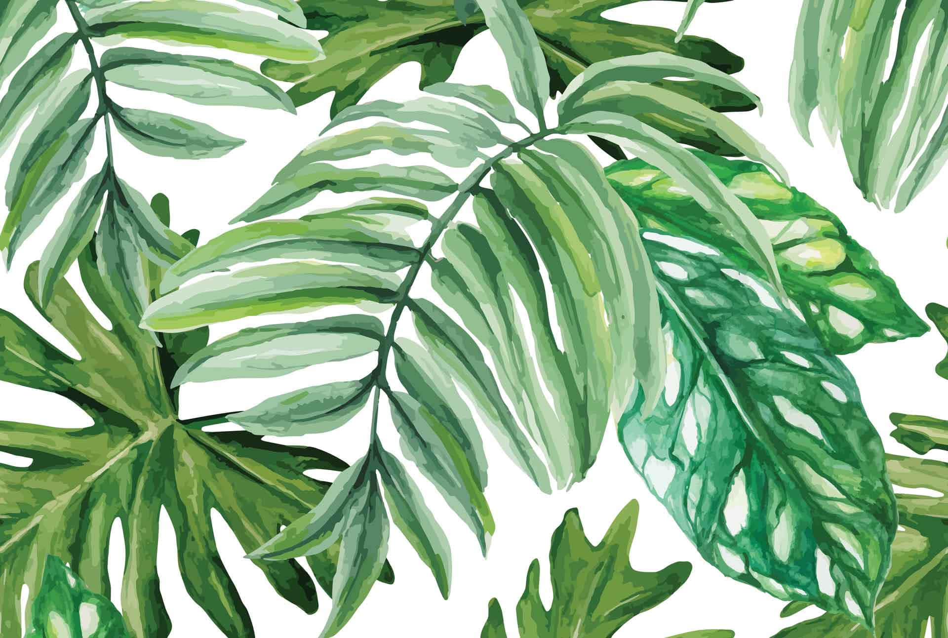 aesthetic palm leaves, watercolor art, tropical leaves, Full HD Desktop Wallpaper