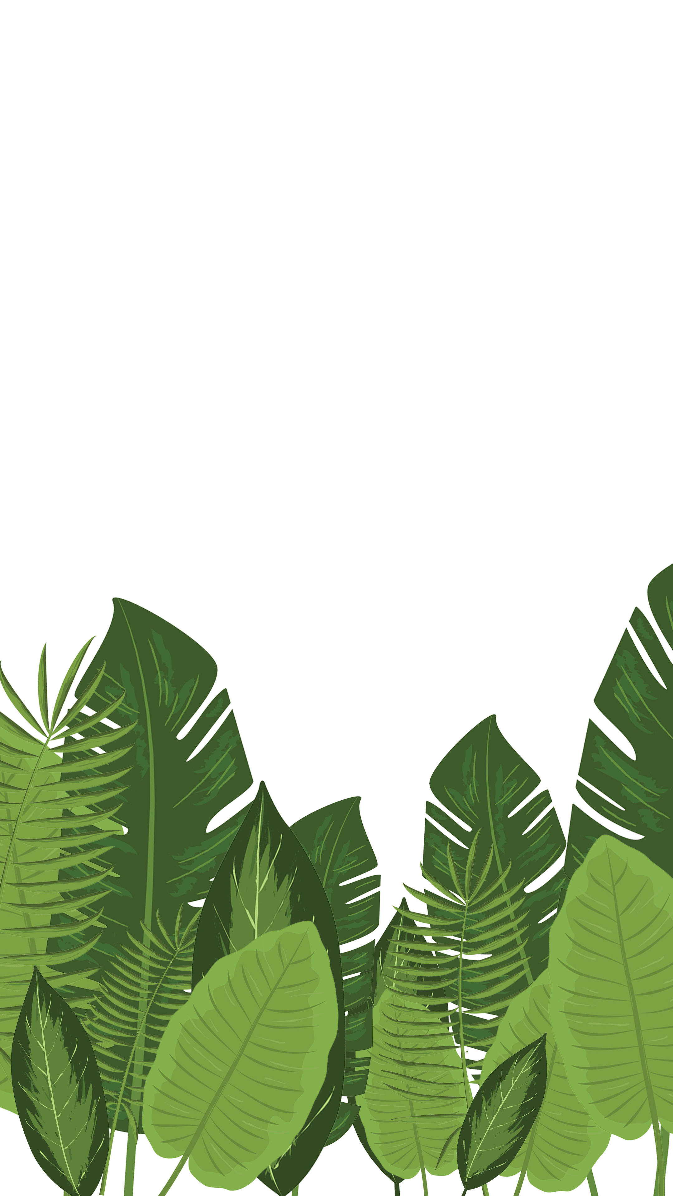 tropical green leaves, clean white background, stylized illustration, 4K Phone Wallpaper