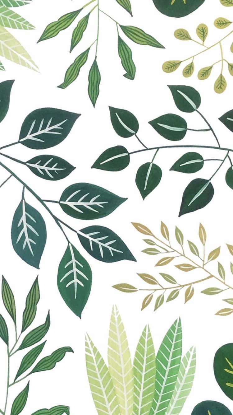 Plant Phone, green, leaves, HD Phone Wallpaper