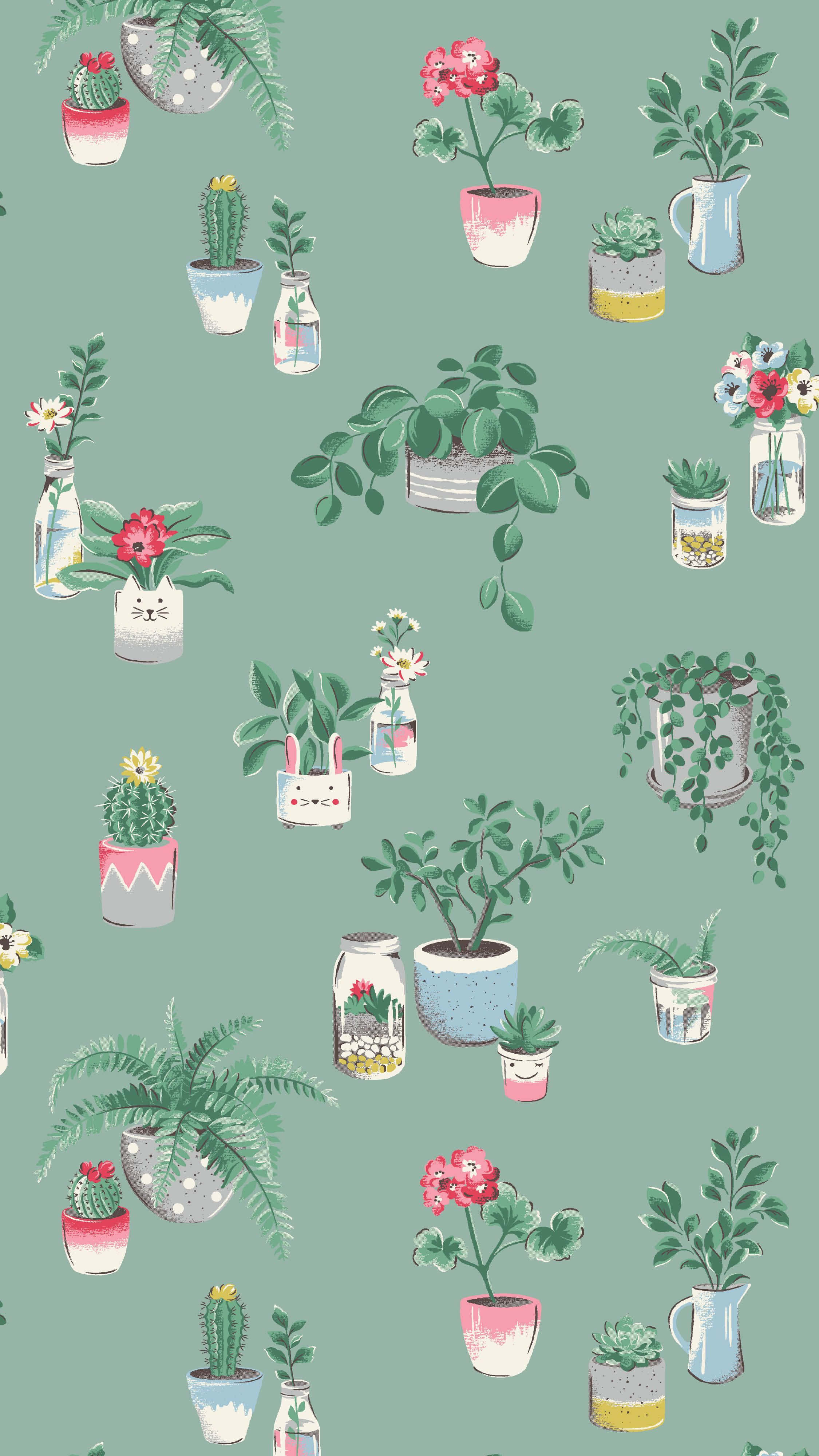 Plant Phone, potted plants, flowers, 4K Phone Wallpaper
