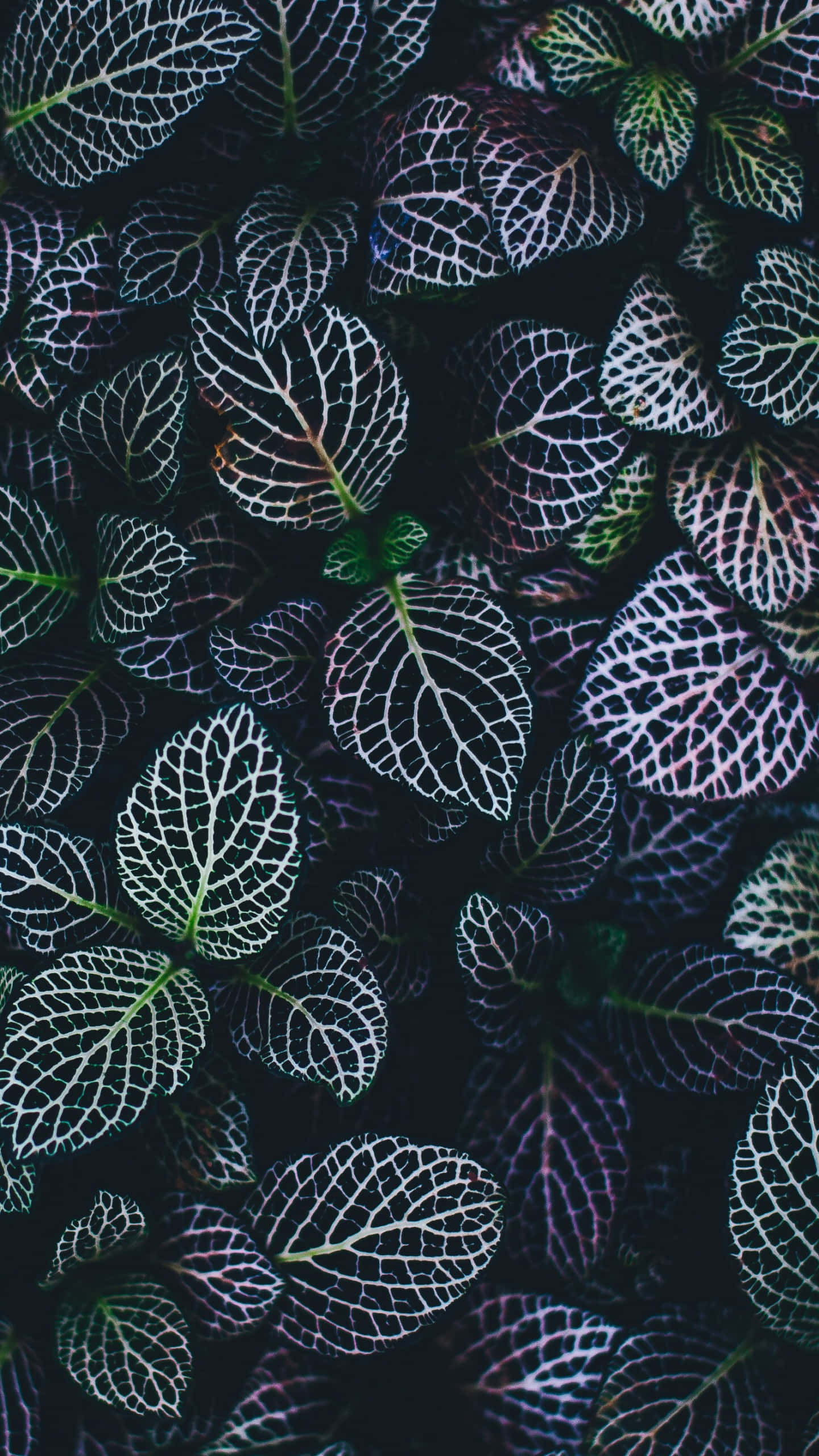 Plant Phone, vibrant green leaves, glowing white veins, 2K Phone Wallpaper