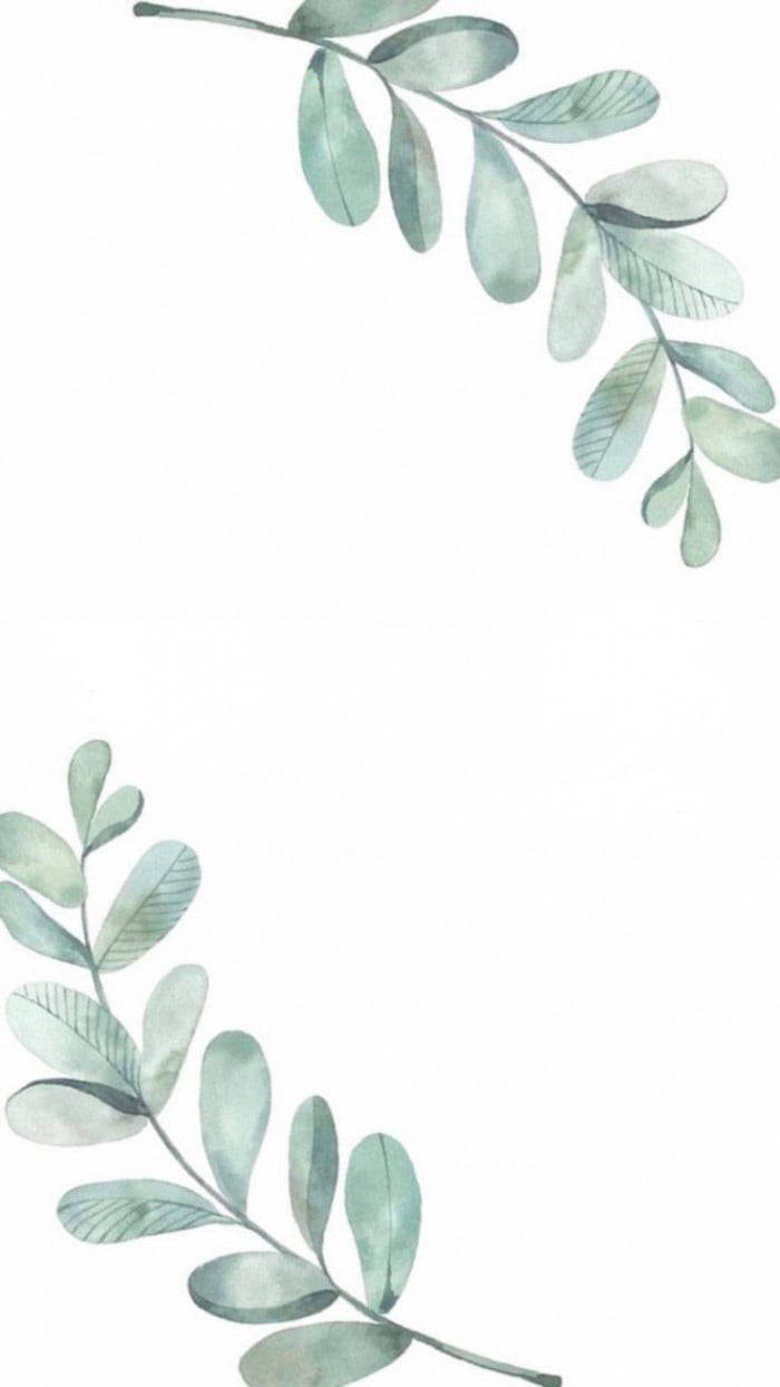 Eucalyptus Opposite Painting, watercolor, soft green leaves, SD Phone Wallpaper