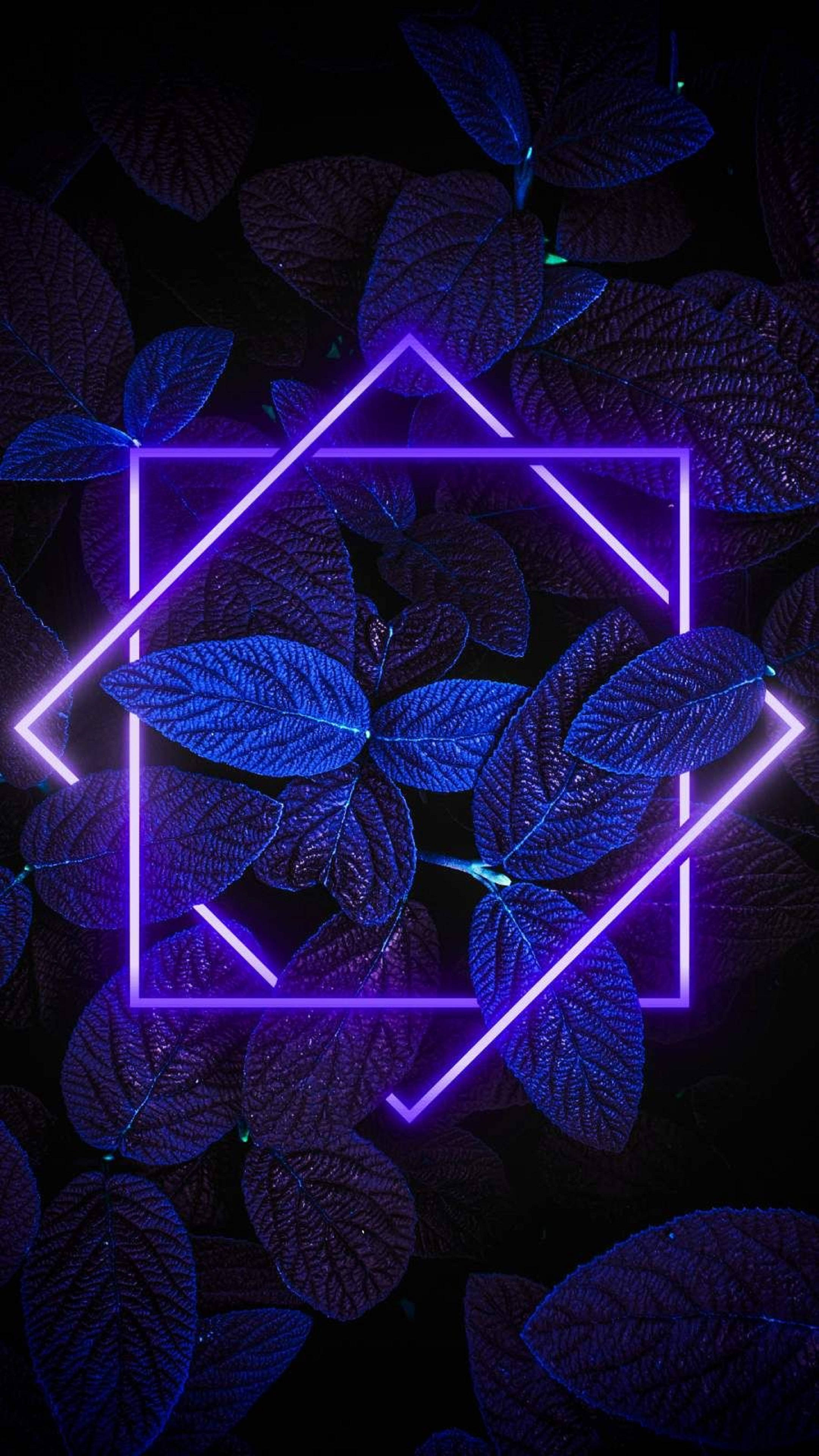 neon purple, geometric frames, dark blue textured leaves, 4K Phone Wallpaper