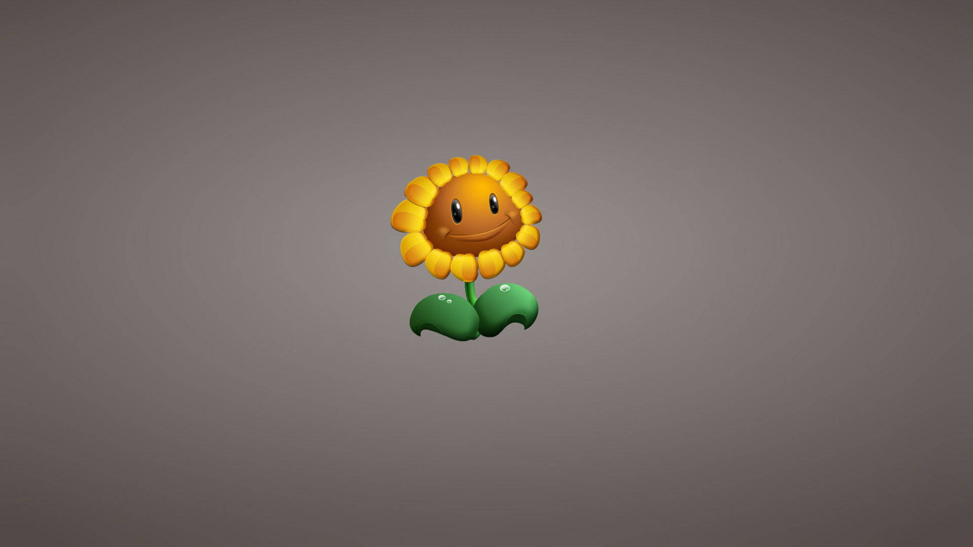 Plants Vs Zombies, sunflower, laptop, Full HD Desktop Wallpaper